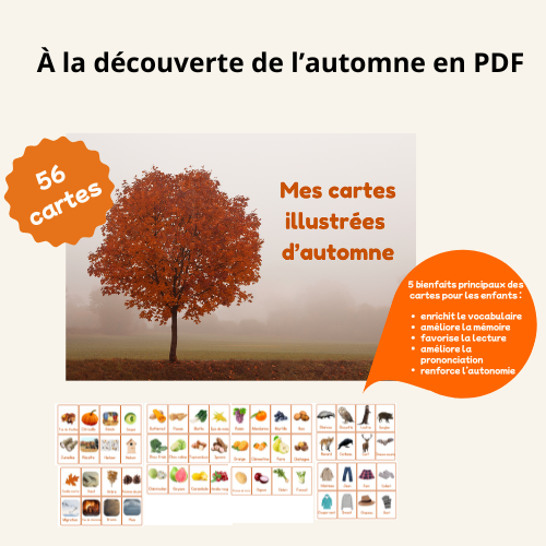 À la découverte de l'automne - Carte de vocabulaire illustrées