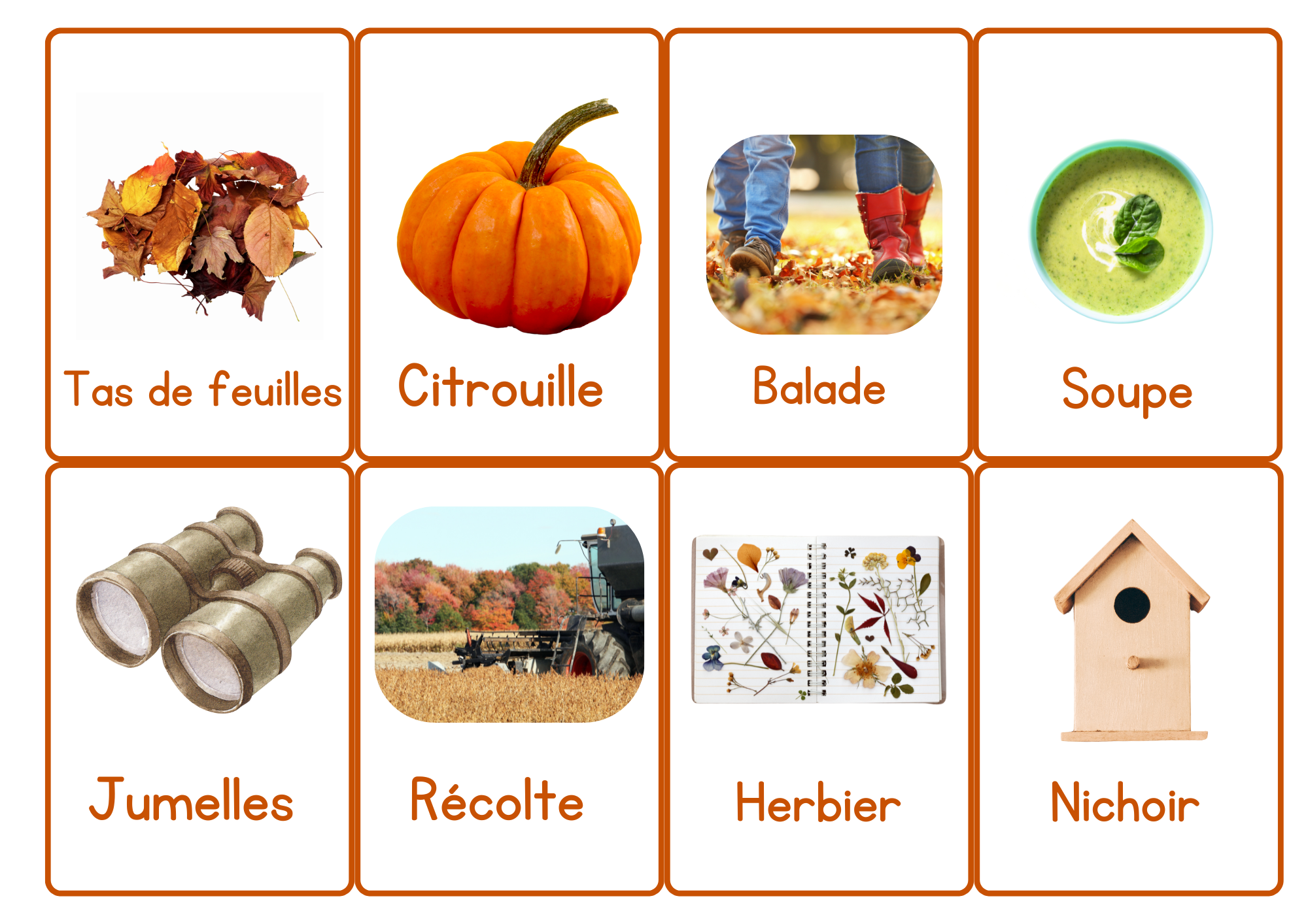 À la découverte de l'automne - Carte de vocabulaire illustrées 