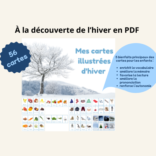 Cartes de vocabulaire illustrées - À la découverte de l'hiver