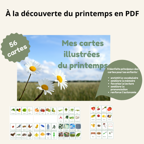 Cartes de vocabulaire illustrées - À la découverte du printemps