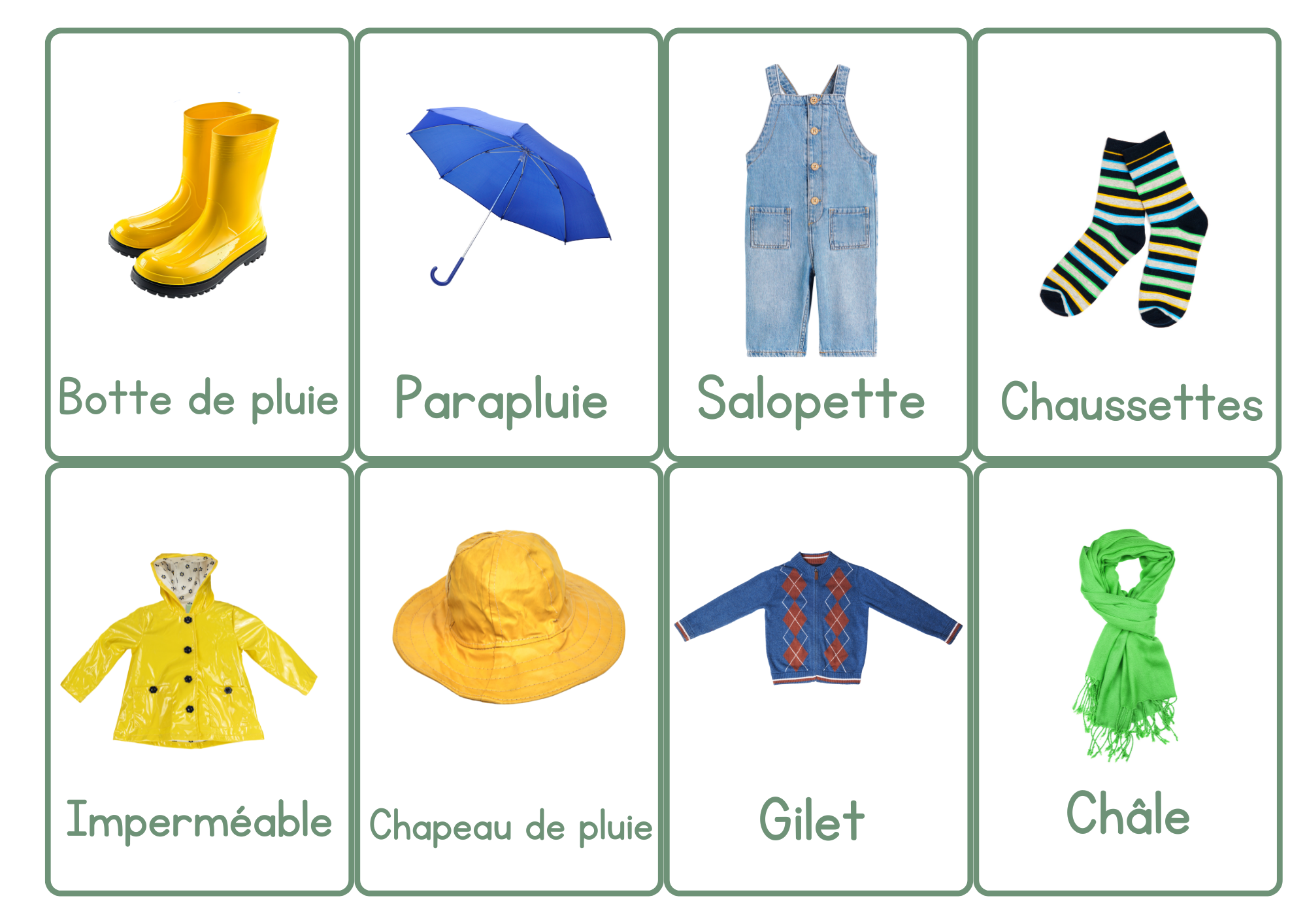 Cartes de vocabulaire illustrées - À la découverte du printemps