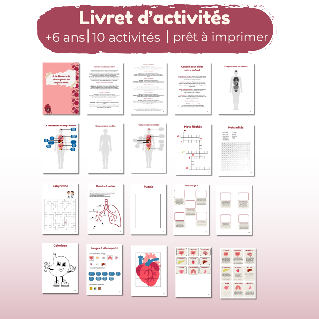 Activités imprimable organes du corps humain enfant en PDF inspiré pédagogie Montessori pour maternelle primaire et École à la Maison