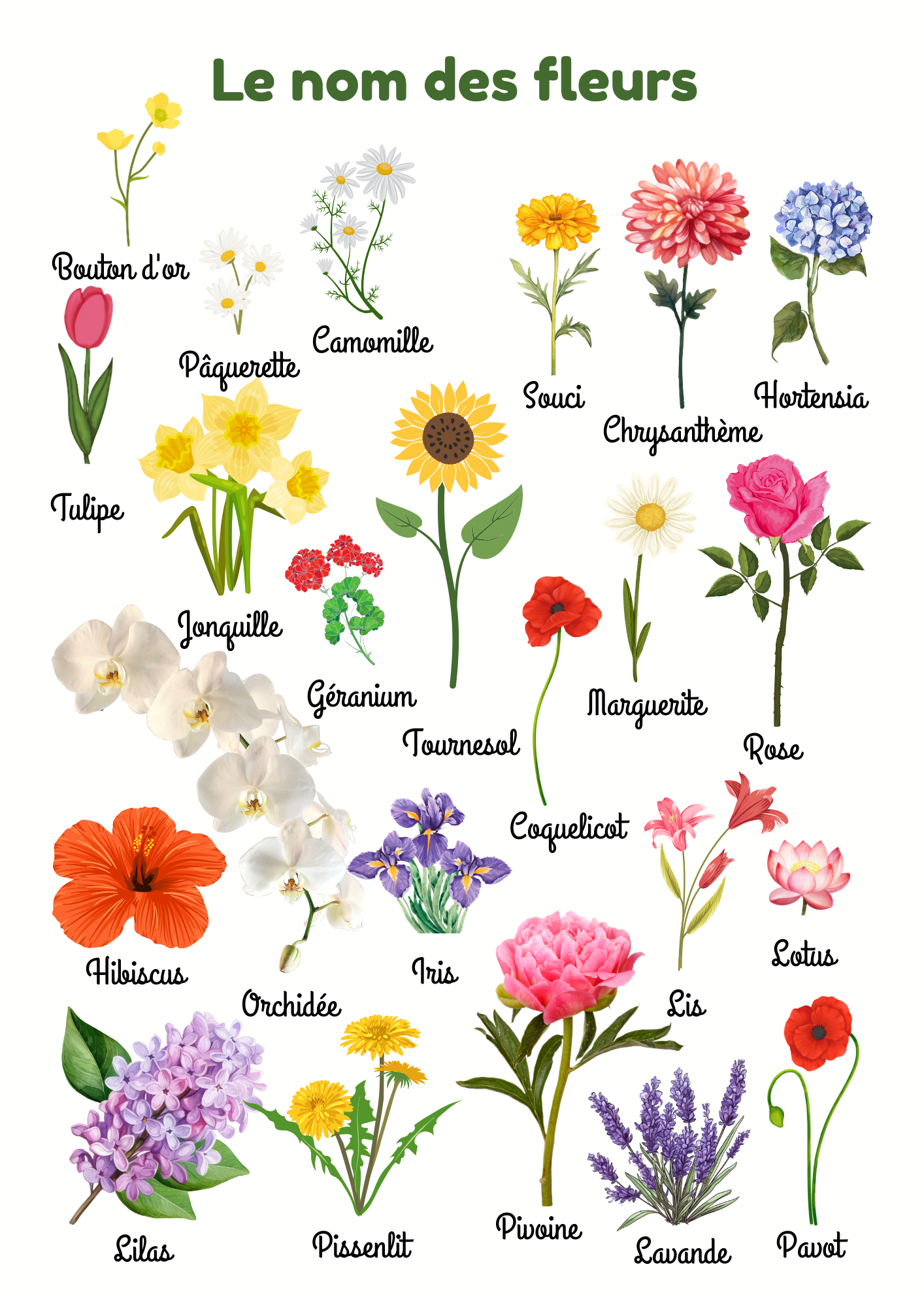 Affiche de reconnaissance des fleurs