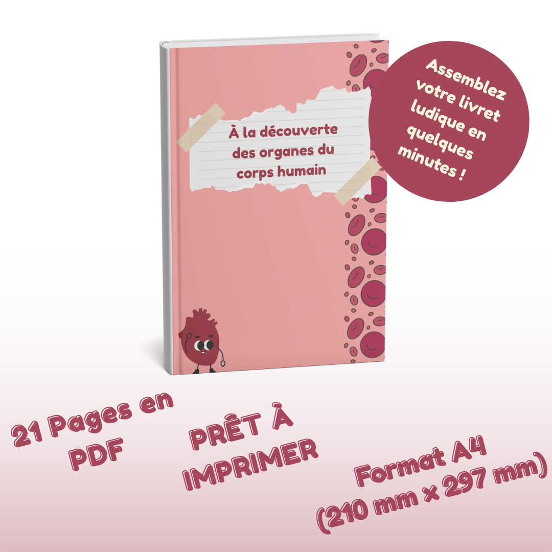 Activités imprimable organes du corps humain enfant en PDF inspiré pédagogie Montessori pour maternelle primaire et École à la Maison