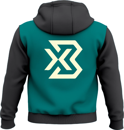 Hoodie Article No. 1