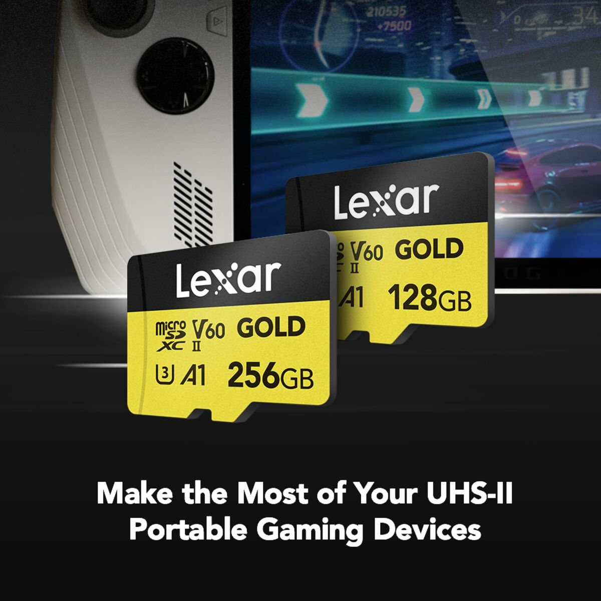 Carte Mémoire SD Lexar LMSGOLD256G-BNNNG 256 GB