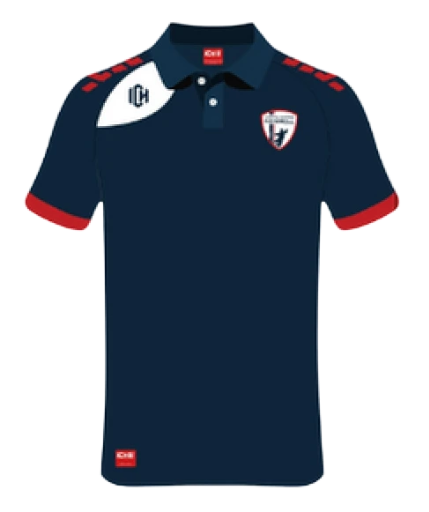 Polo HOMME BLEU  