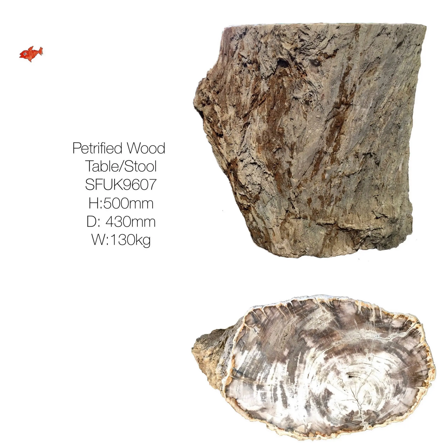 Petrified Wood Side Table ref SF9607