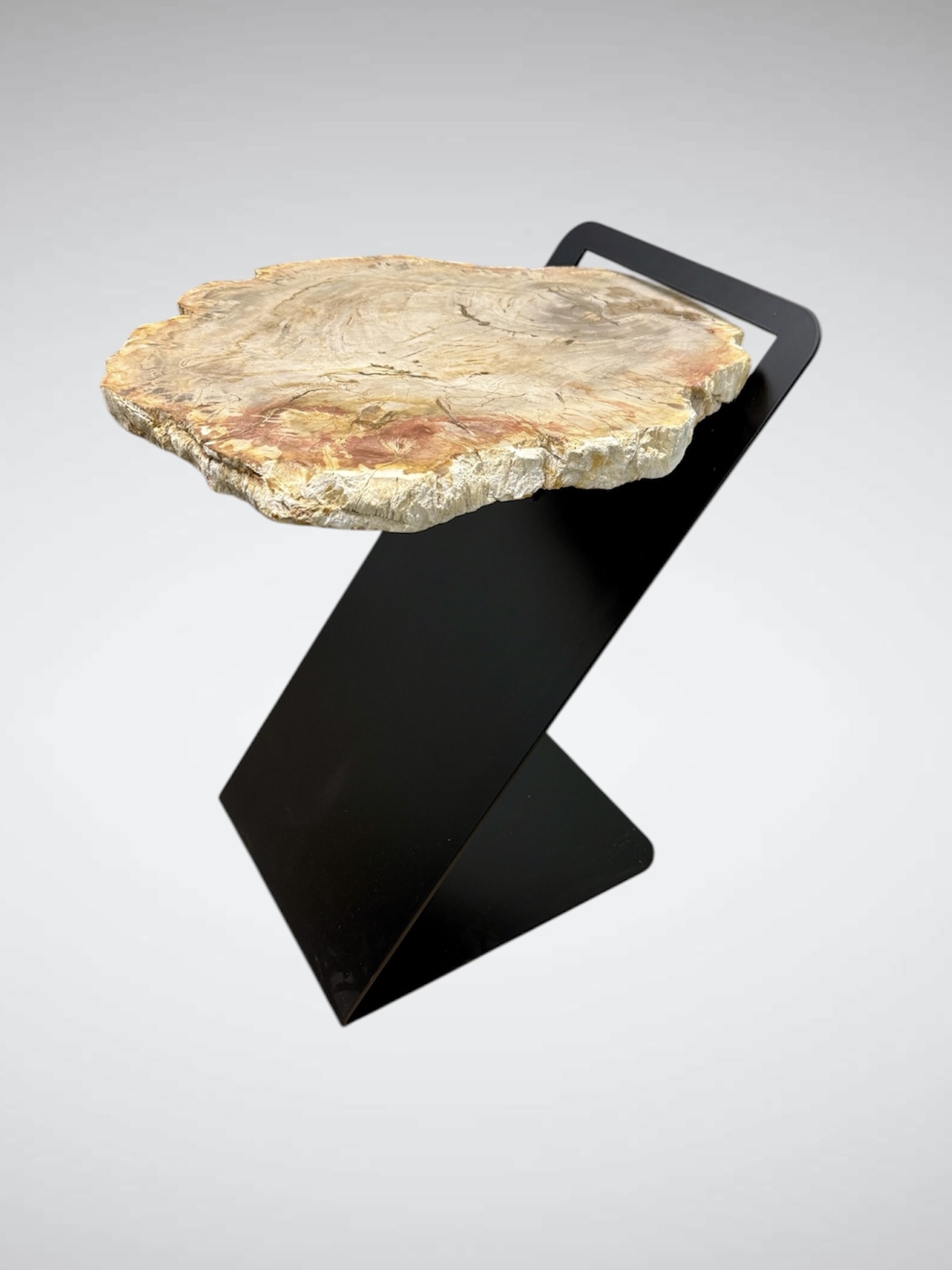 Petrified Wood Side Table With Penopang Base