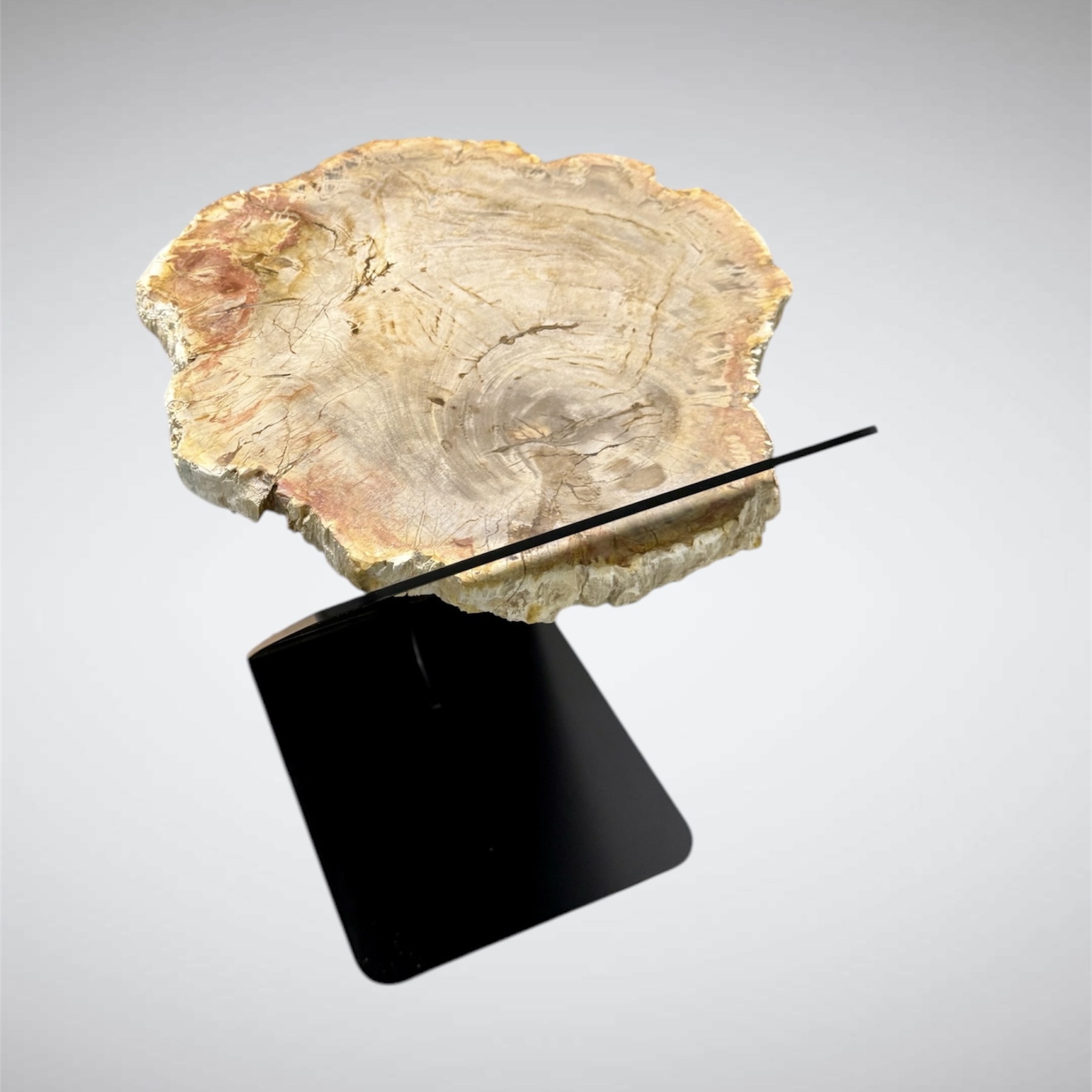 Petrified Wood Side Table With Penopang Base