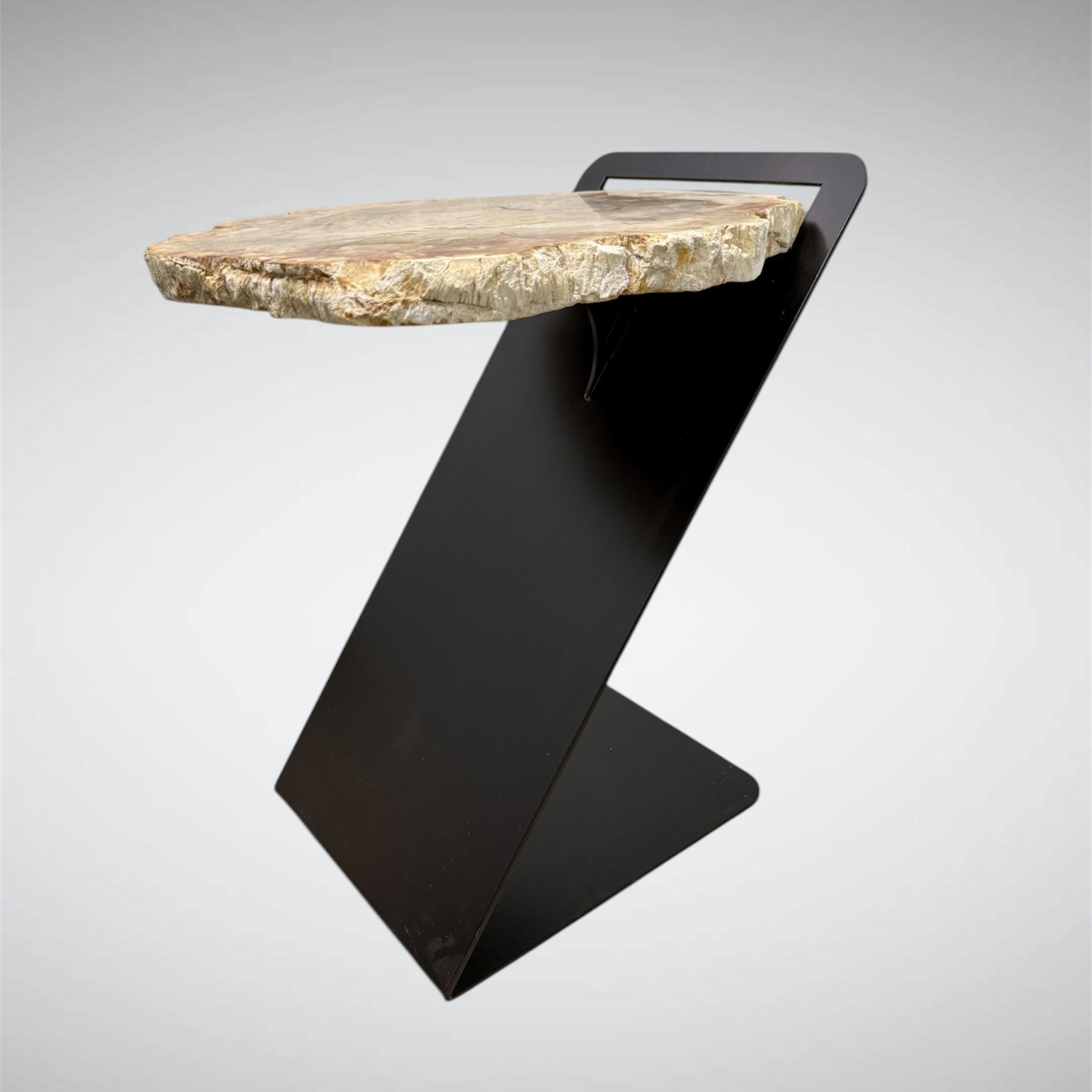 Petrified Wood Side Table With Penopang Base
