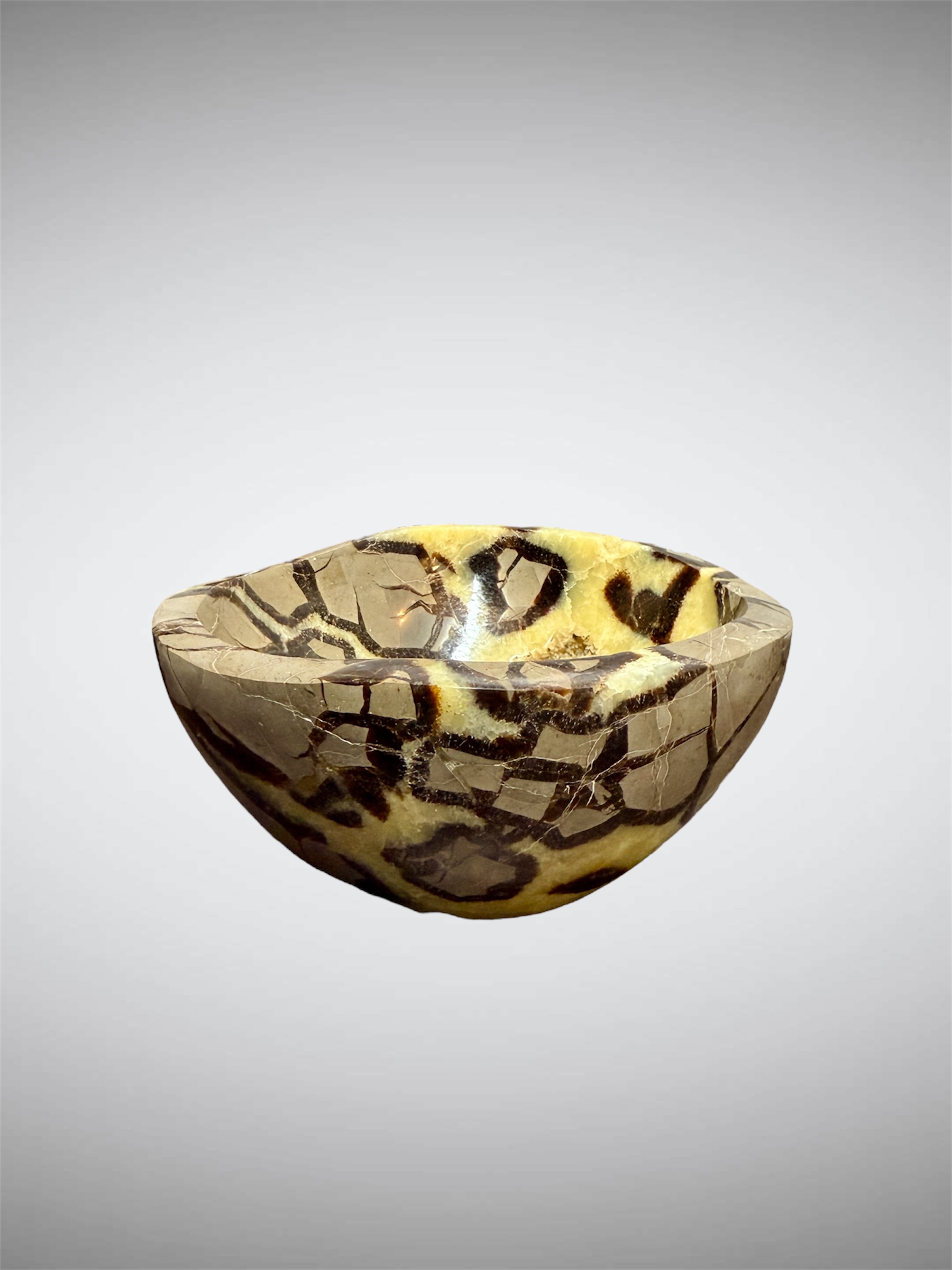 Septaria Bowl