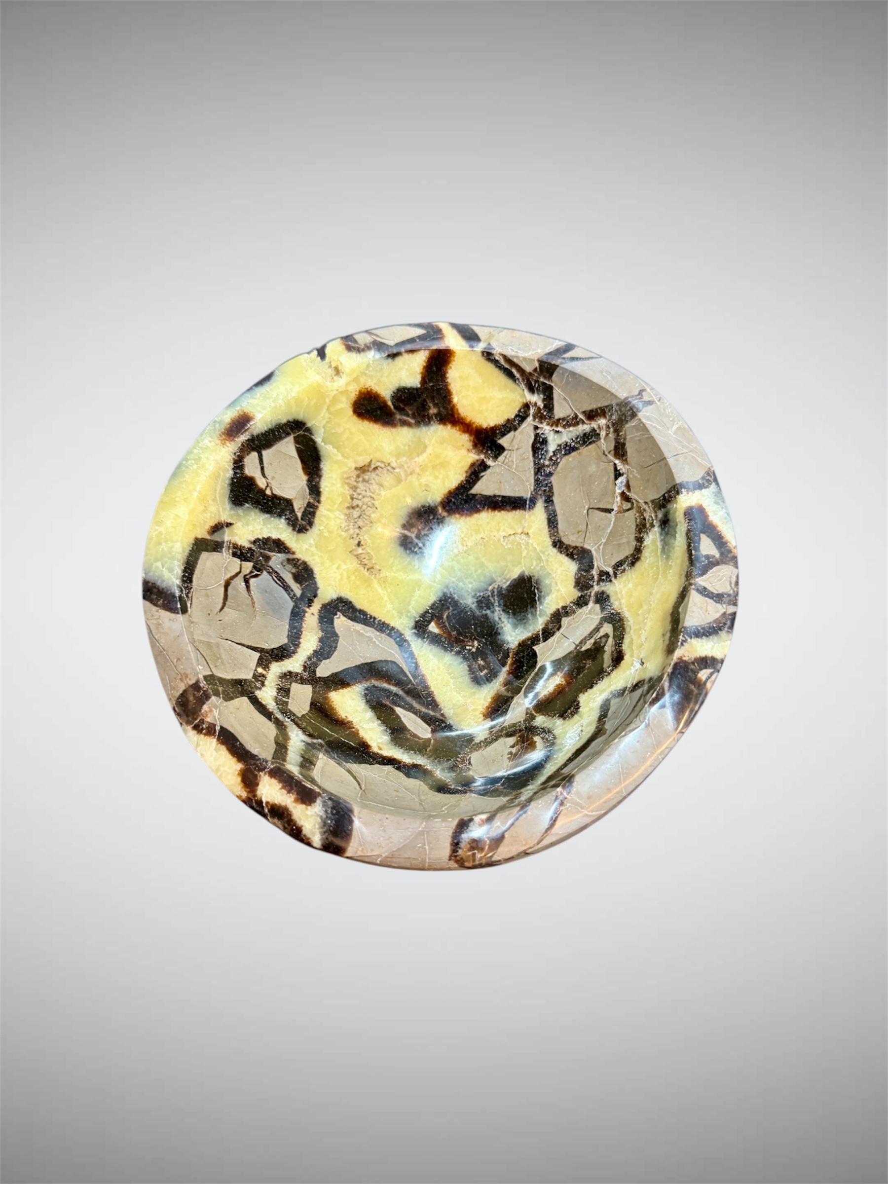 Septaria Bowl