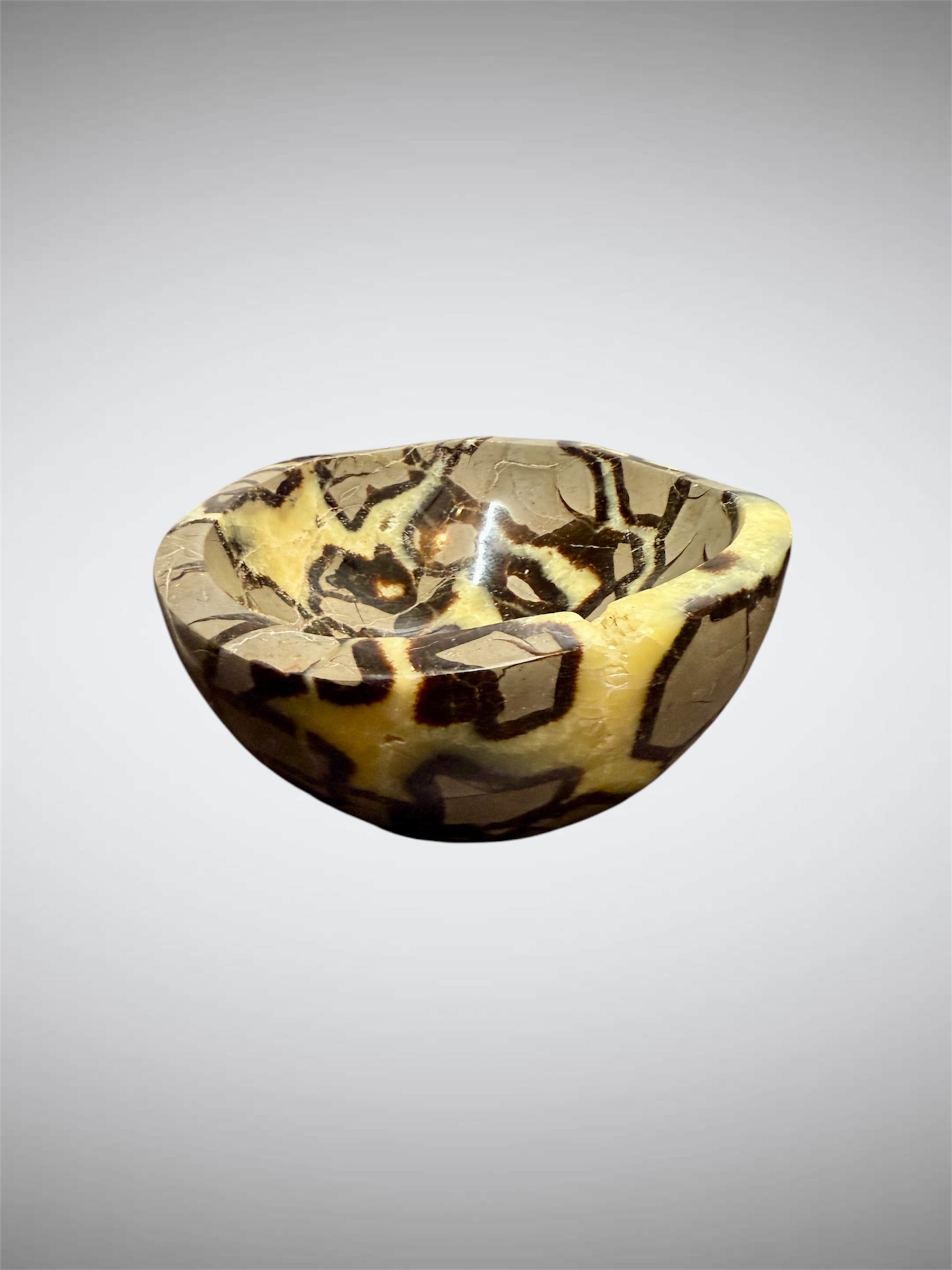 Septaria Bowl