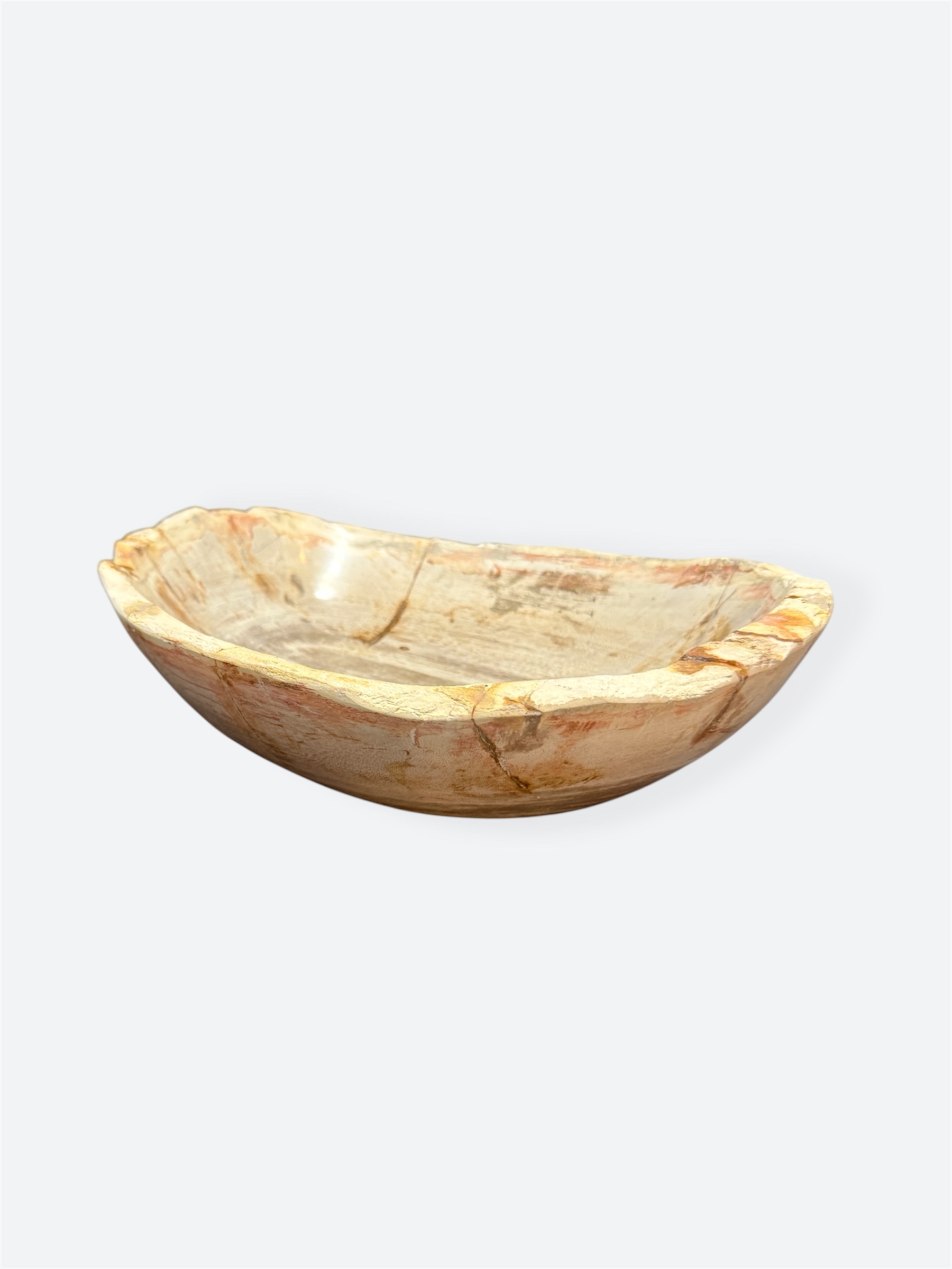 Petrified Wood Oval Bowl