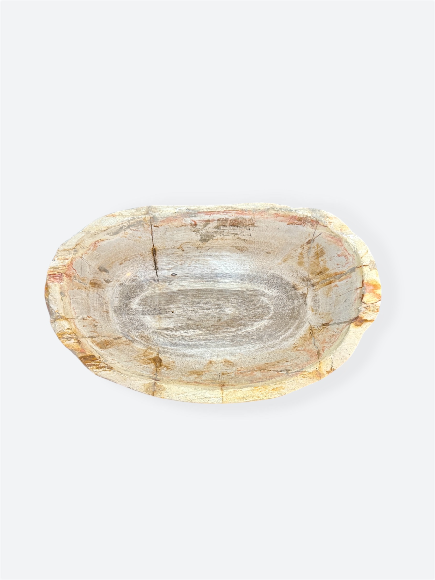 Petrified Wood Oval Bowl