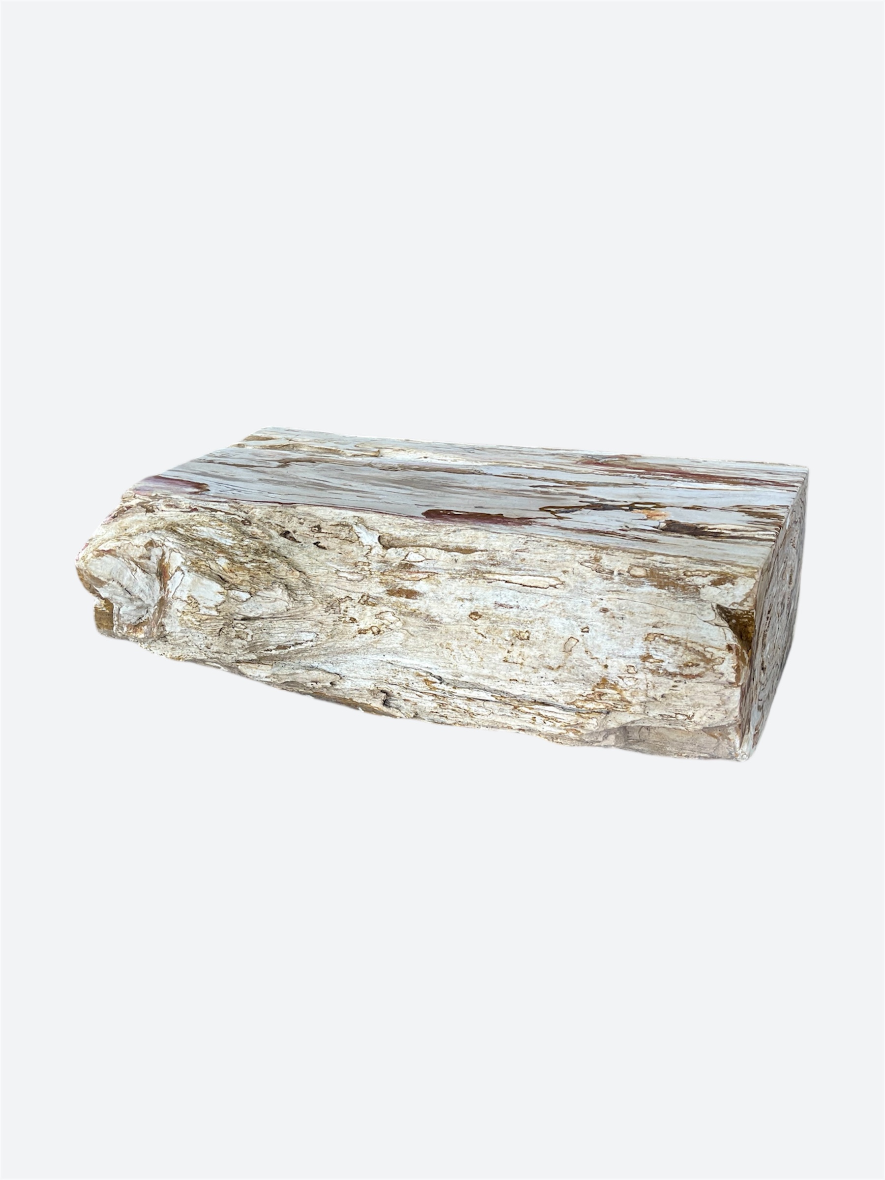 Very Large Petrified Wood Coffee Table
