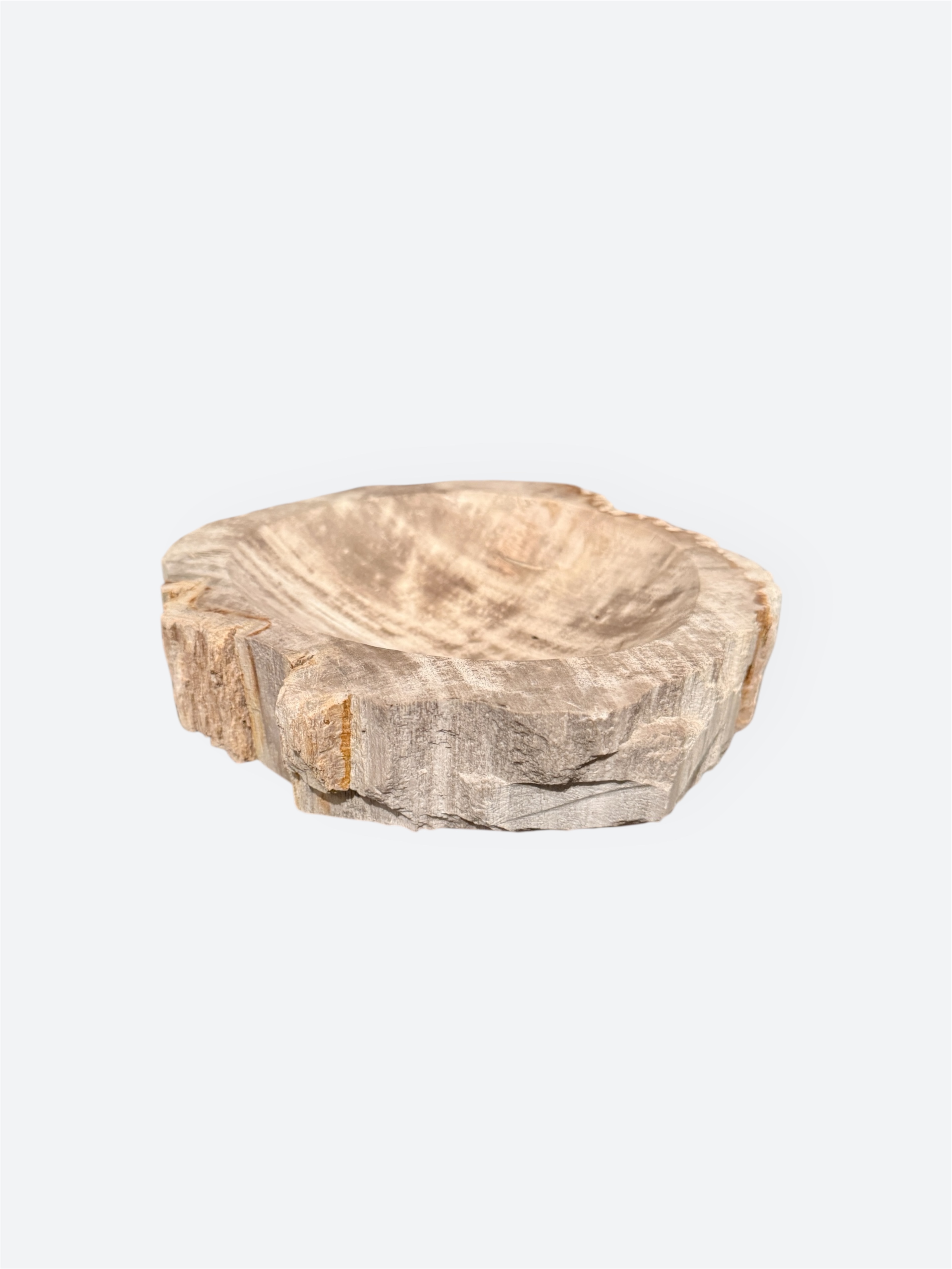  Low Petrified Wood Bowl 