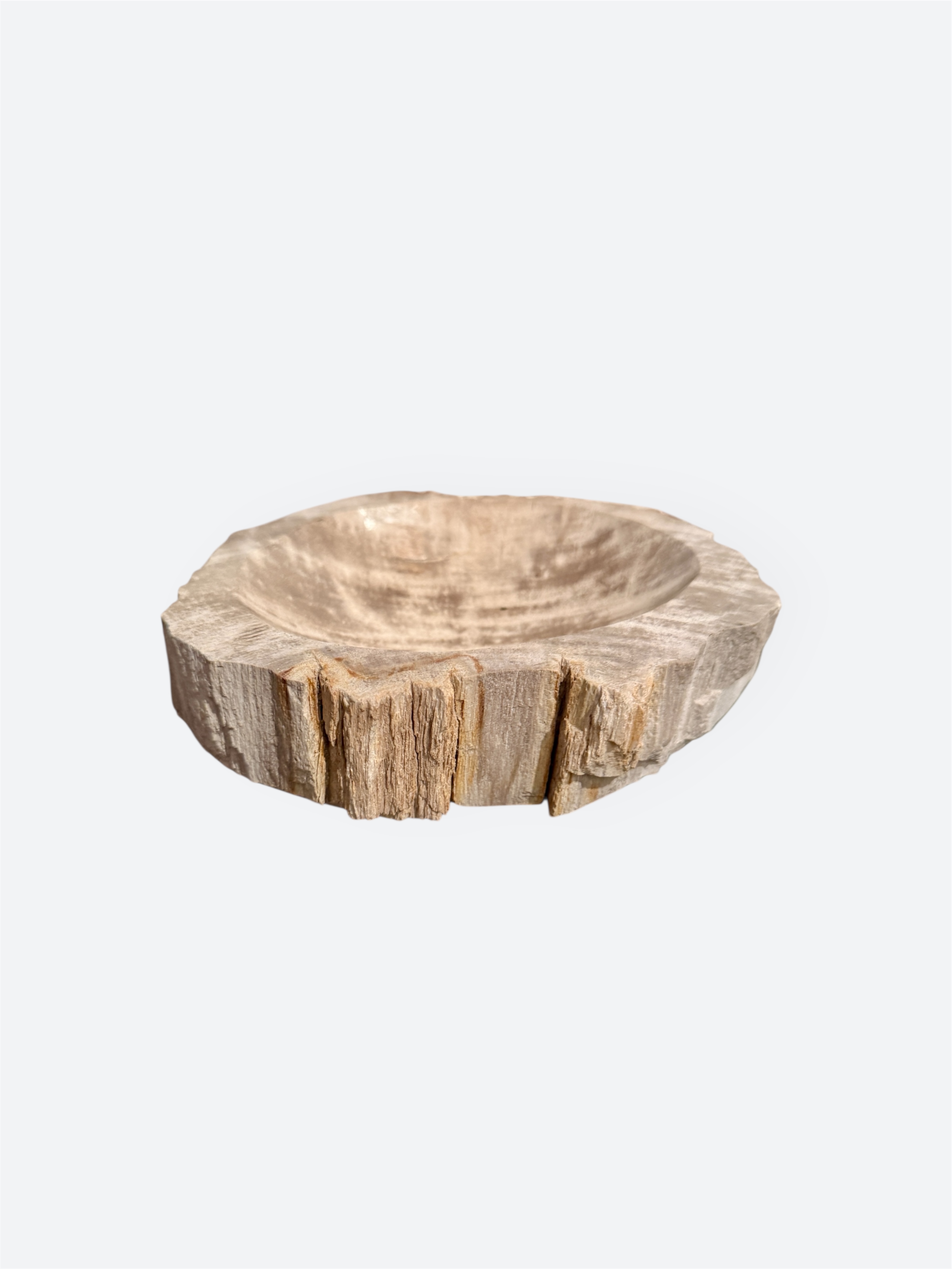  Low Petrified Wood Bowl 