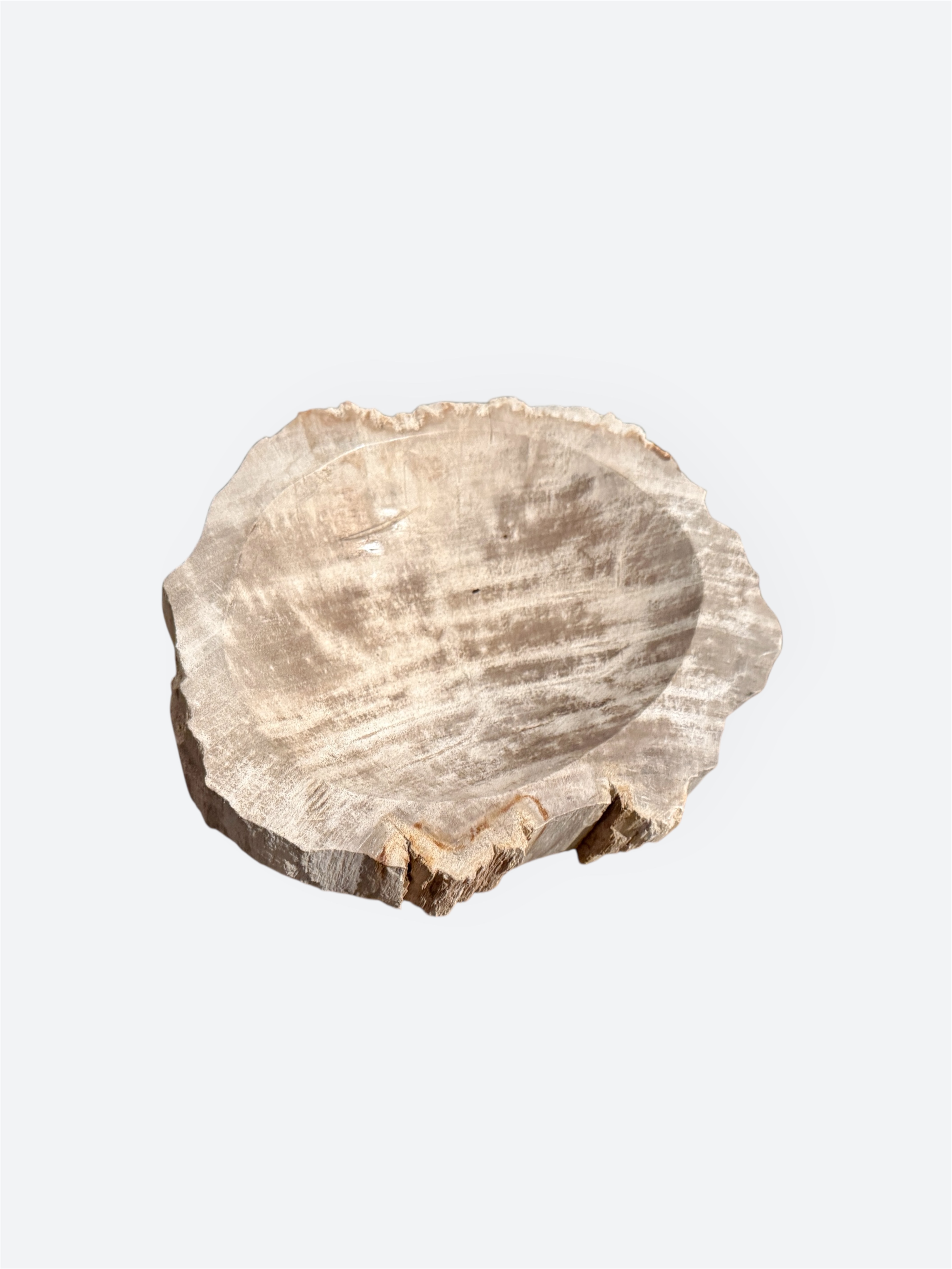  Low Petrified Wood Bowl 