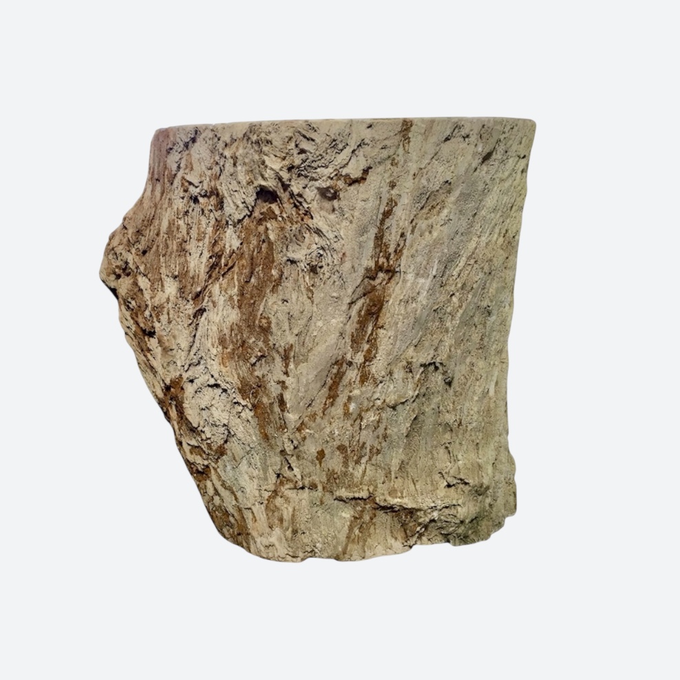 Petrified Wood Side Table ref SF9607