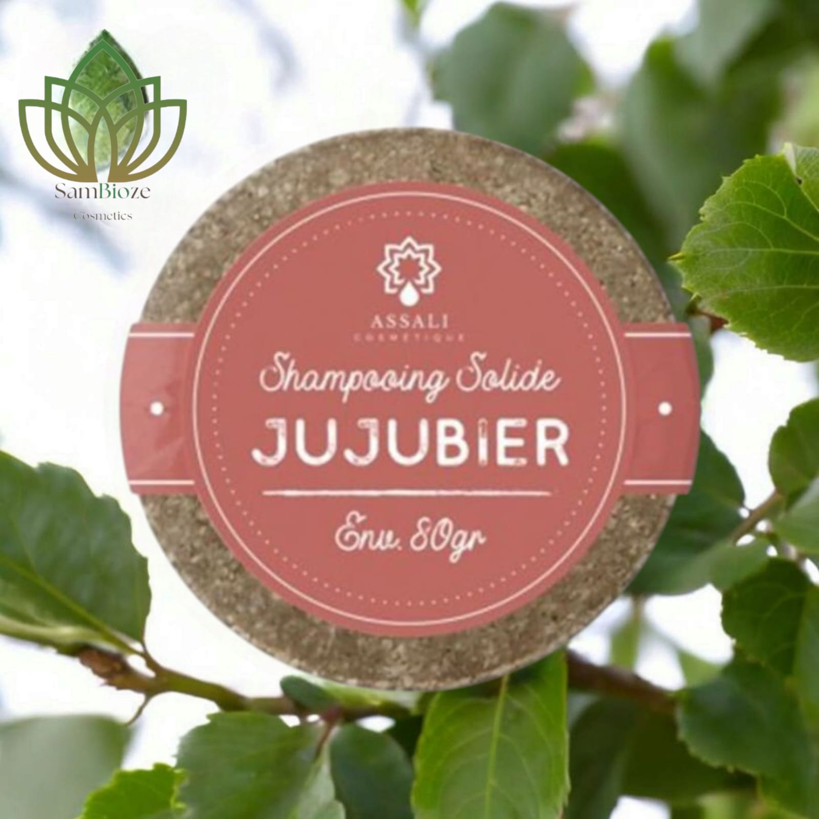 Shampoing Solide Jujubier