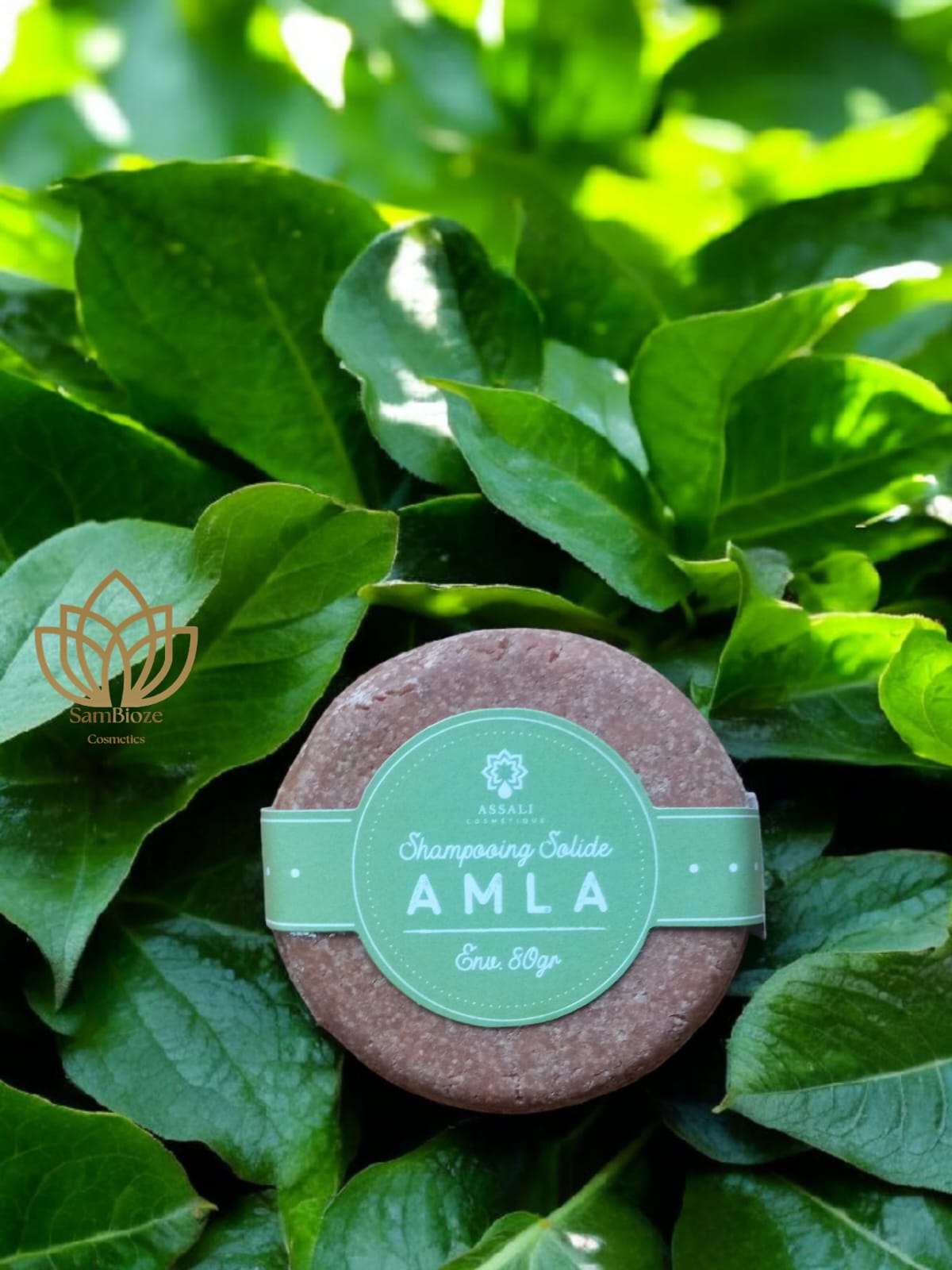 Shampoing Solide Amla 80g