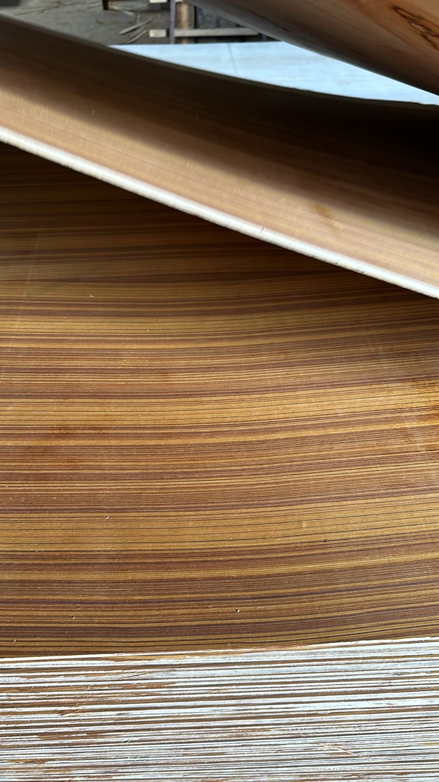 Teak Plywood