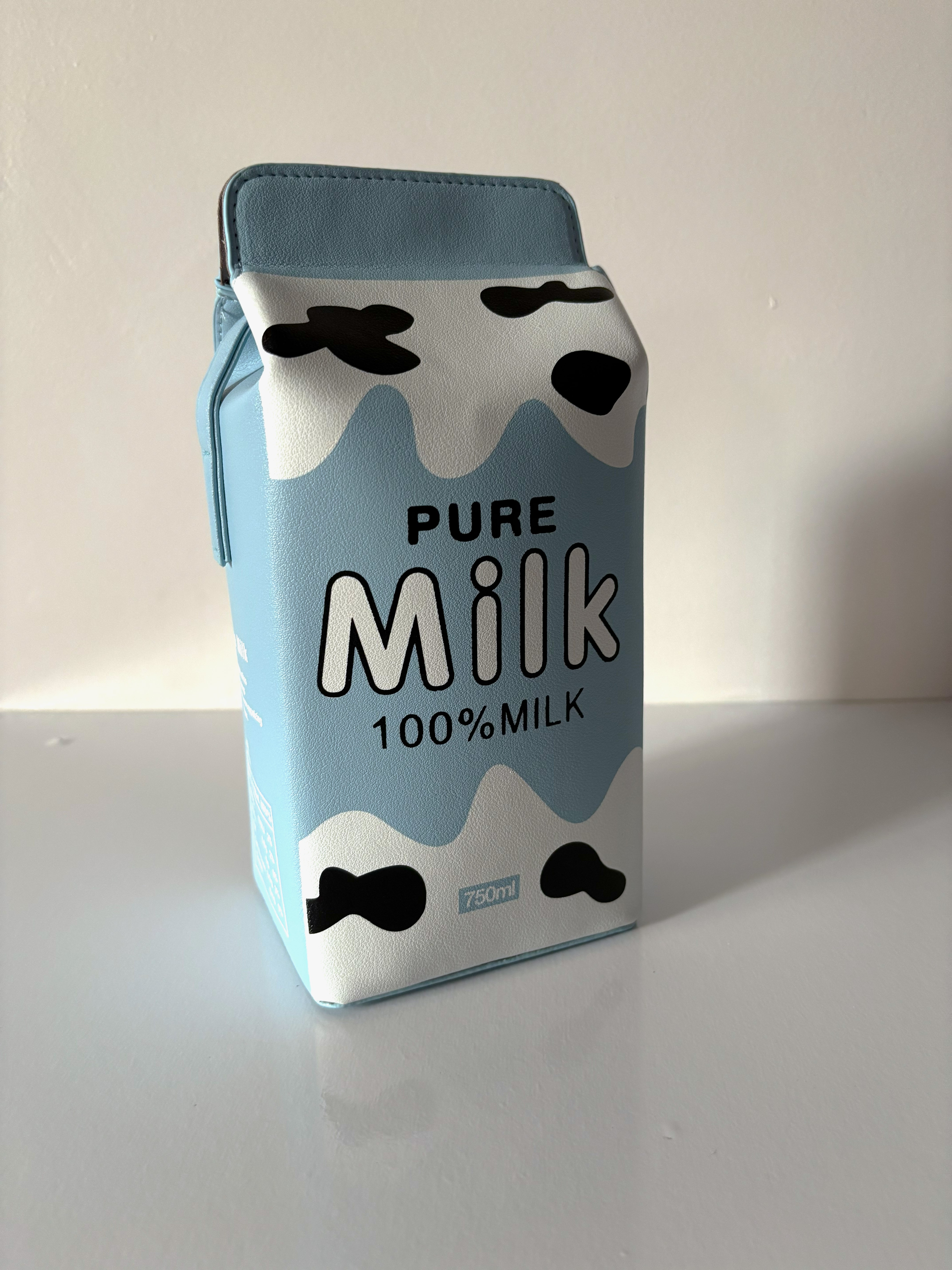 Milk Carton Streetstyle Bag