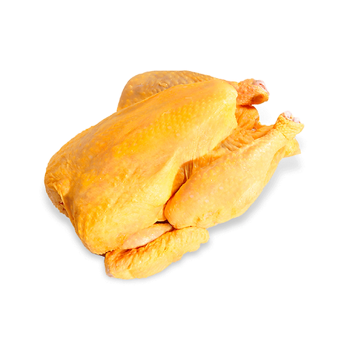 Pollo criollo