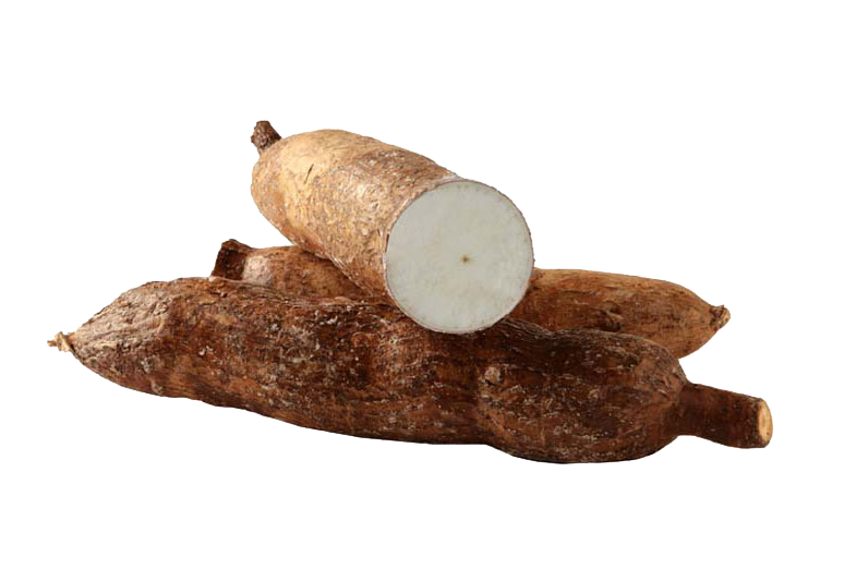 Yuca