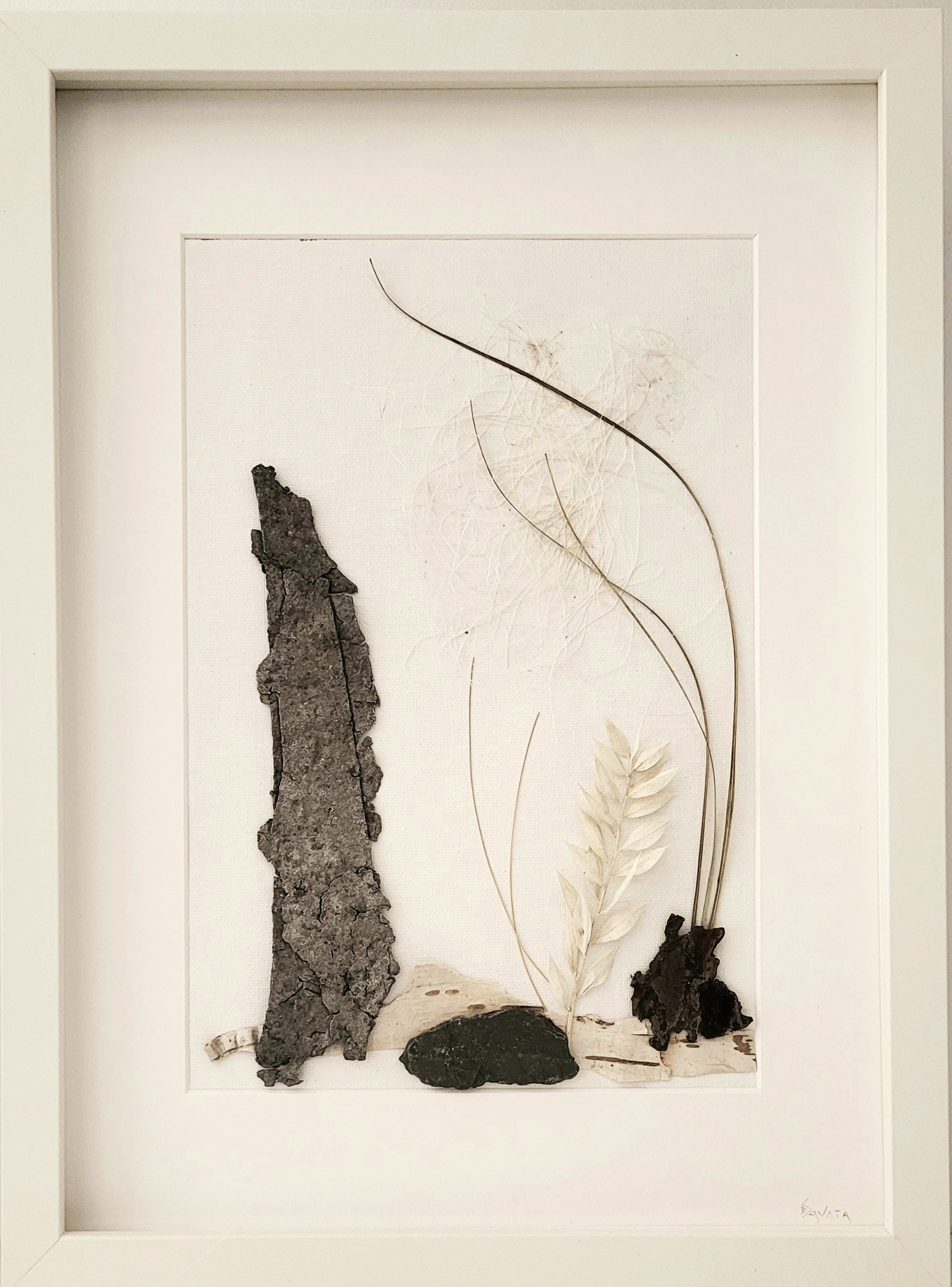 TRACES DE VIE
