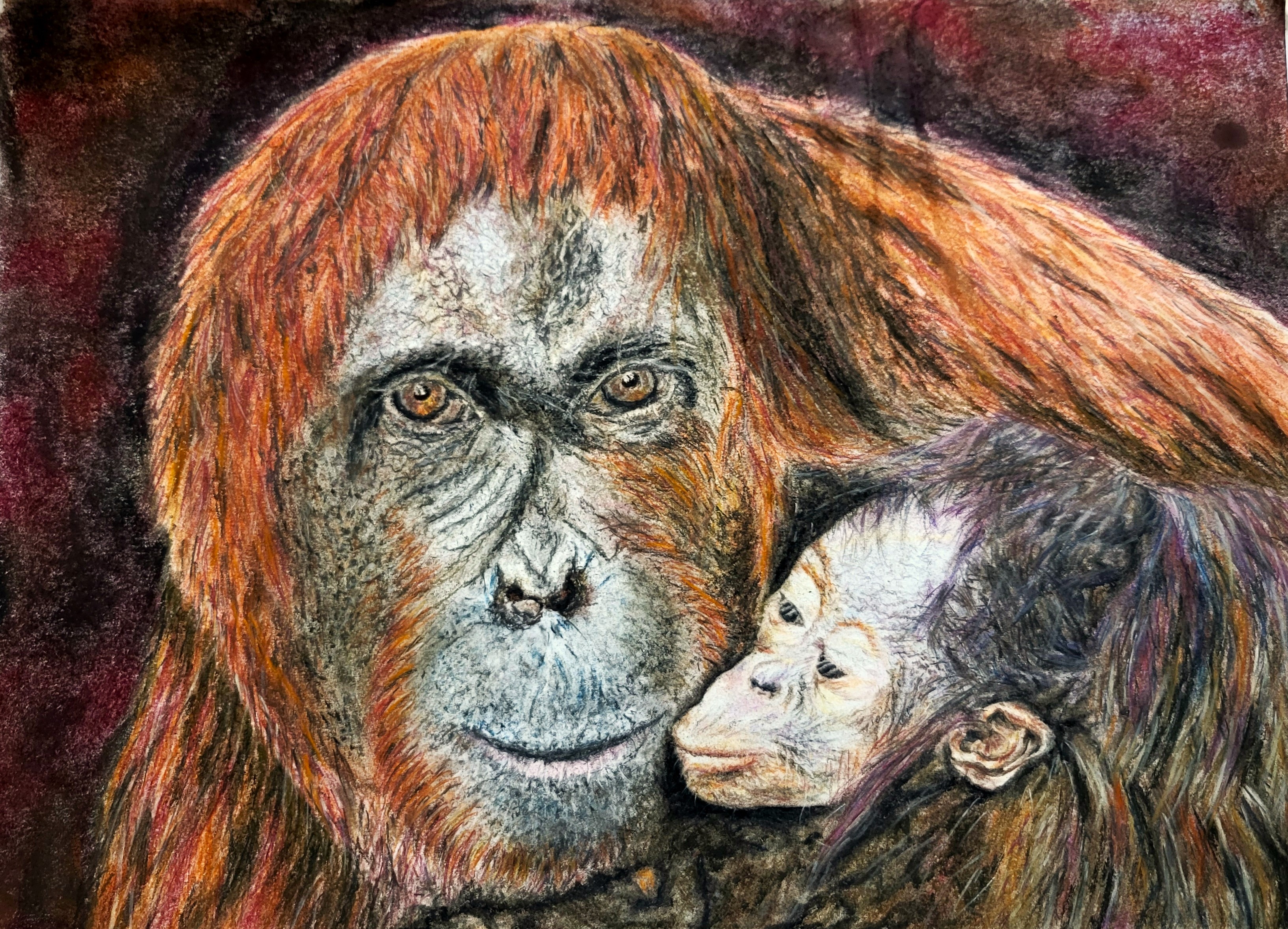 SILENCE FRAGILE avec cadre et passe-partout