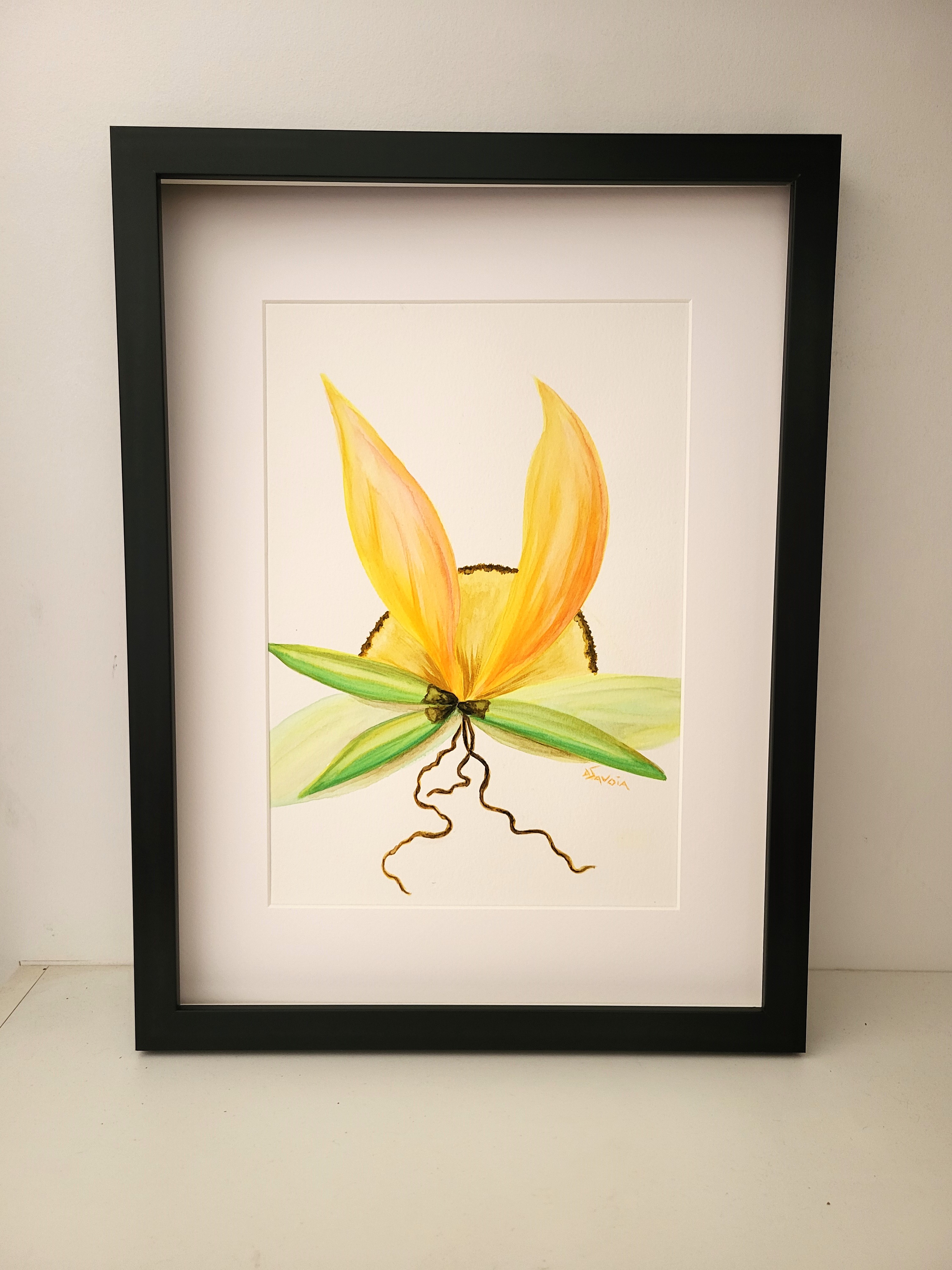 EVEIL EXOTIQUE avec cadre et passe-partout