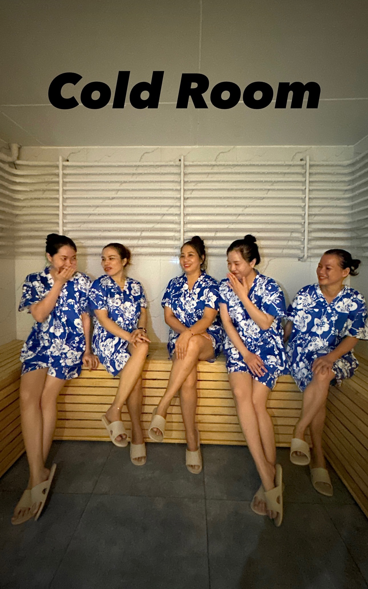 Combo: Cold Room + Steam + Himalayan Sauna