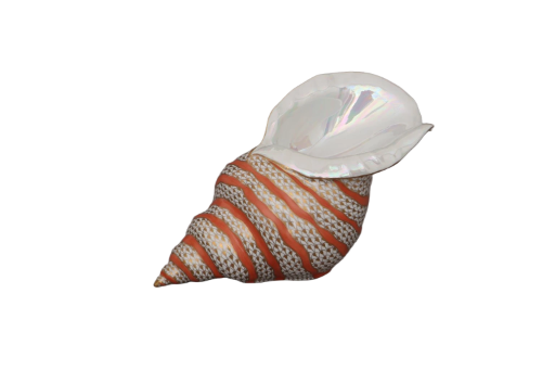 Herend Triton Shell