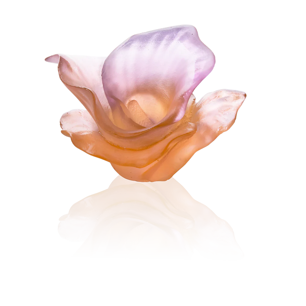 Daum Arum Rose Decorative Flower