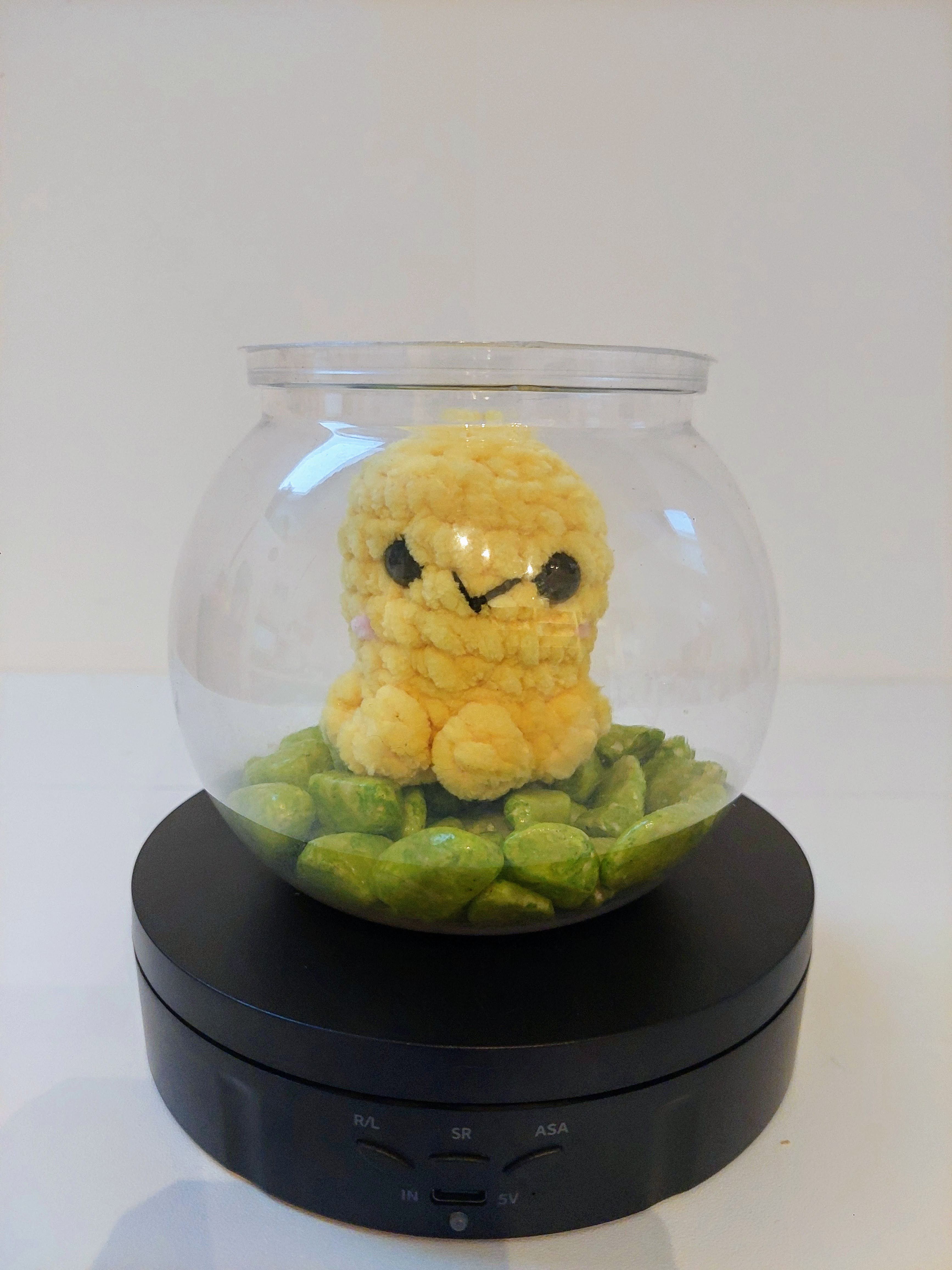 Aquarium décoratif + galets