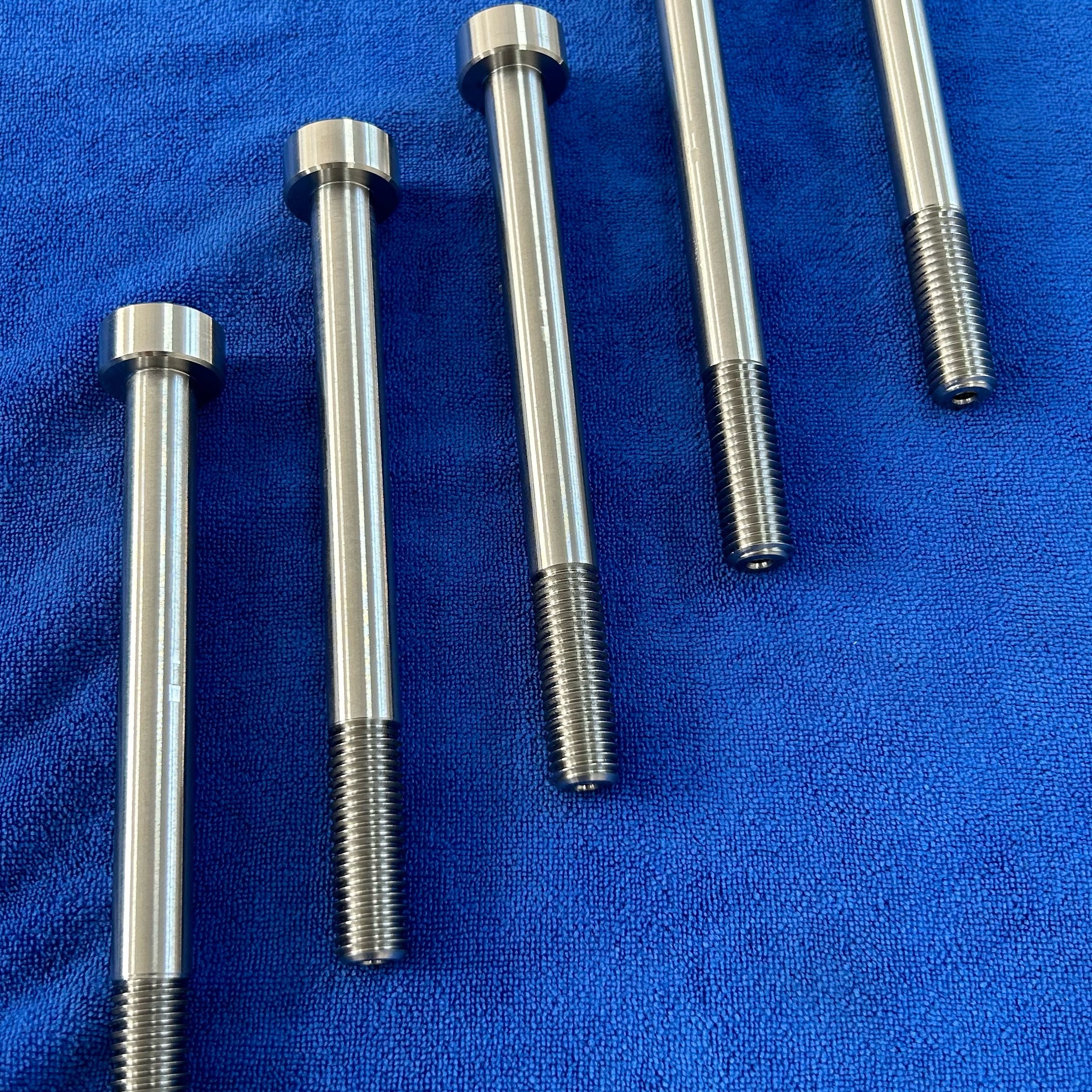 Mo1 Molybdenum Screws & Bolts | Vacuum Furnace & Single Crystal Furnace Heat Field Fasteners | ZSWMO 20-Yr Mfg