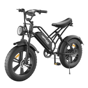 Electric Fat Bike
