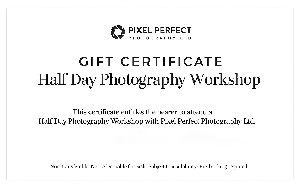 Photography Workshop (Half Day) 9:00 - 13:00