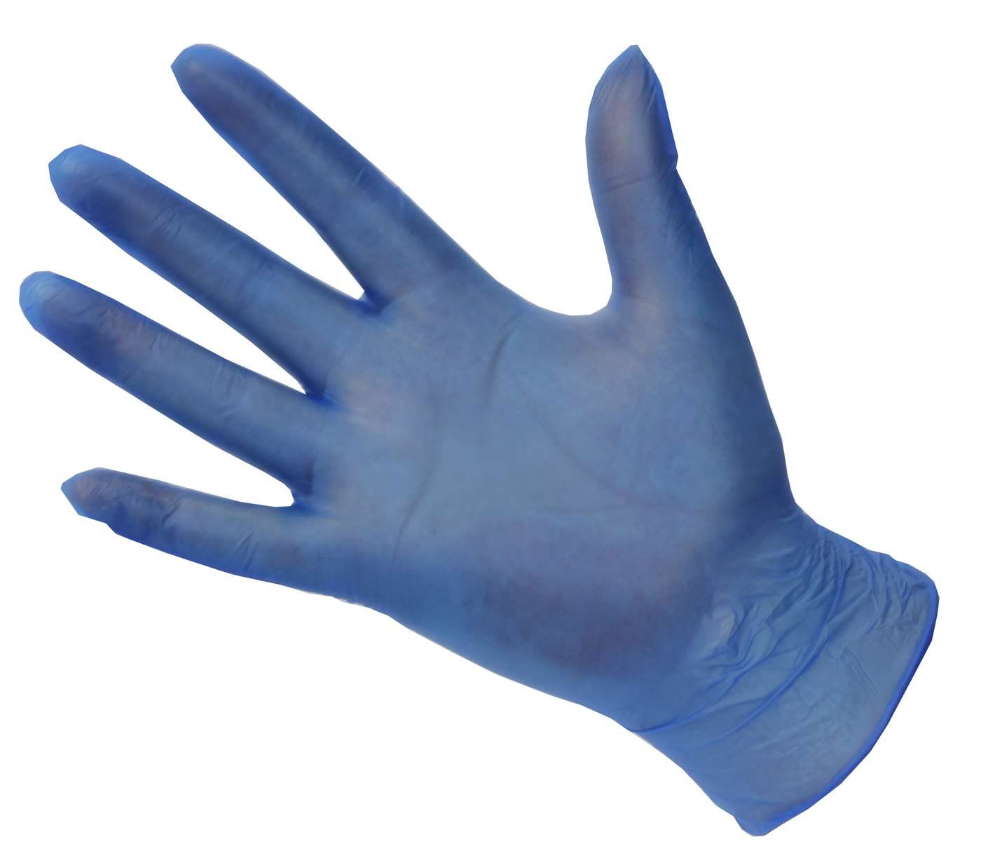 Blue Vinyl Powder Free Gloves