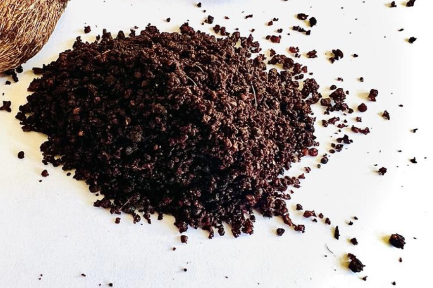 Raw Dry Real Deer Musk / Kasturi