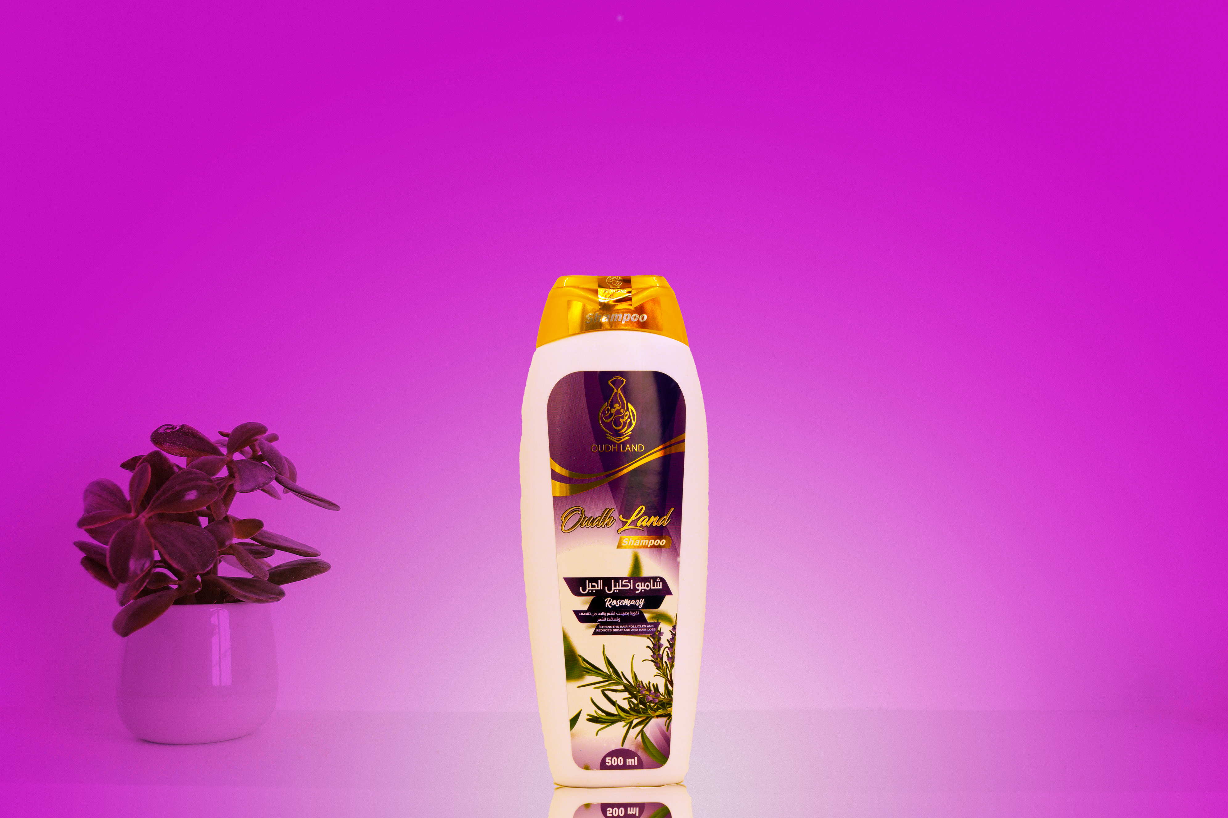  شامبو اكليل الجبل للشعر