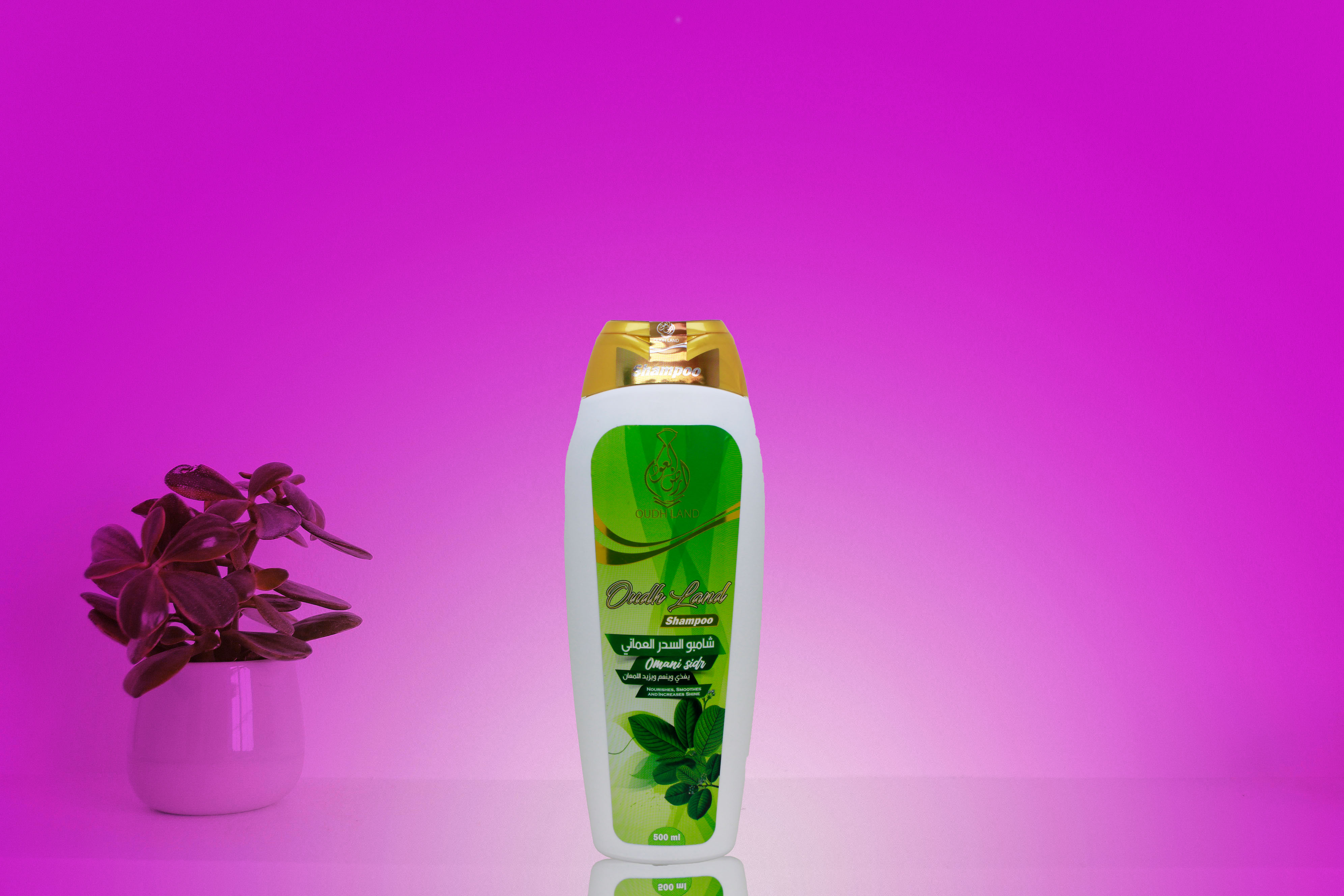 شامبو السدر  العماني 