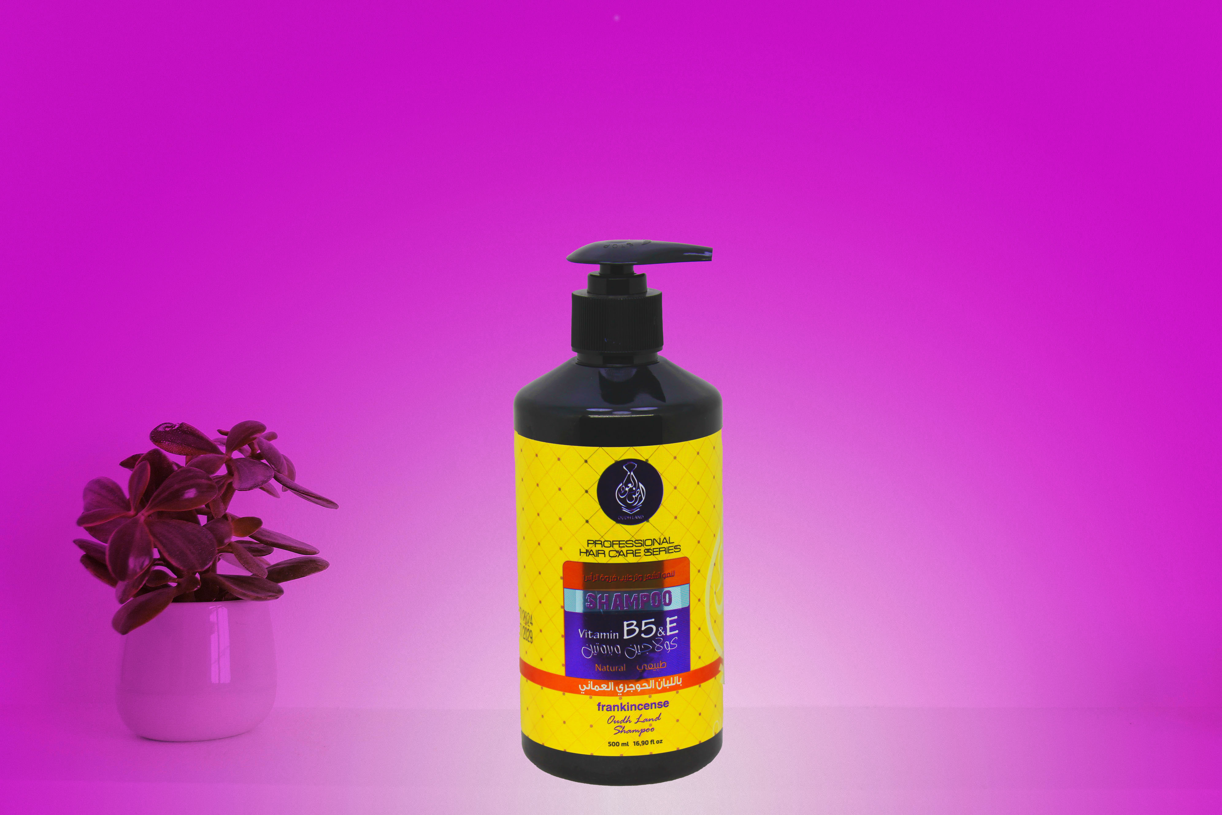 شامبو اللبان العماني 