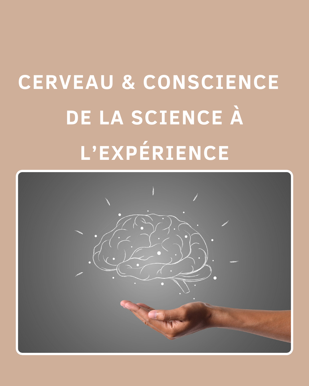 Cerveau & Conscience  - De la science à l'expérience
