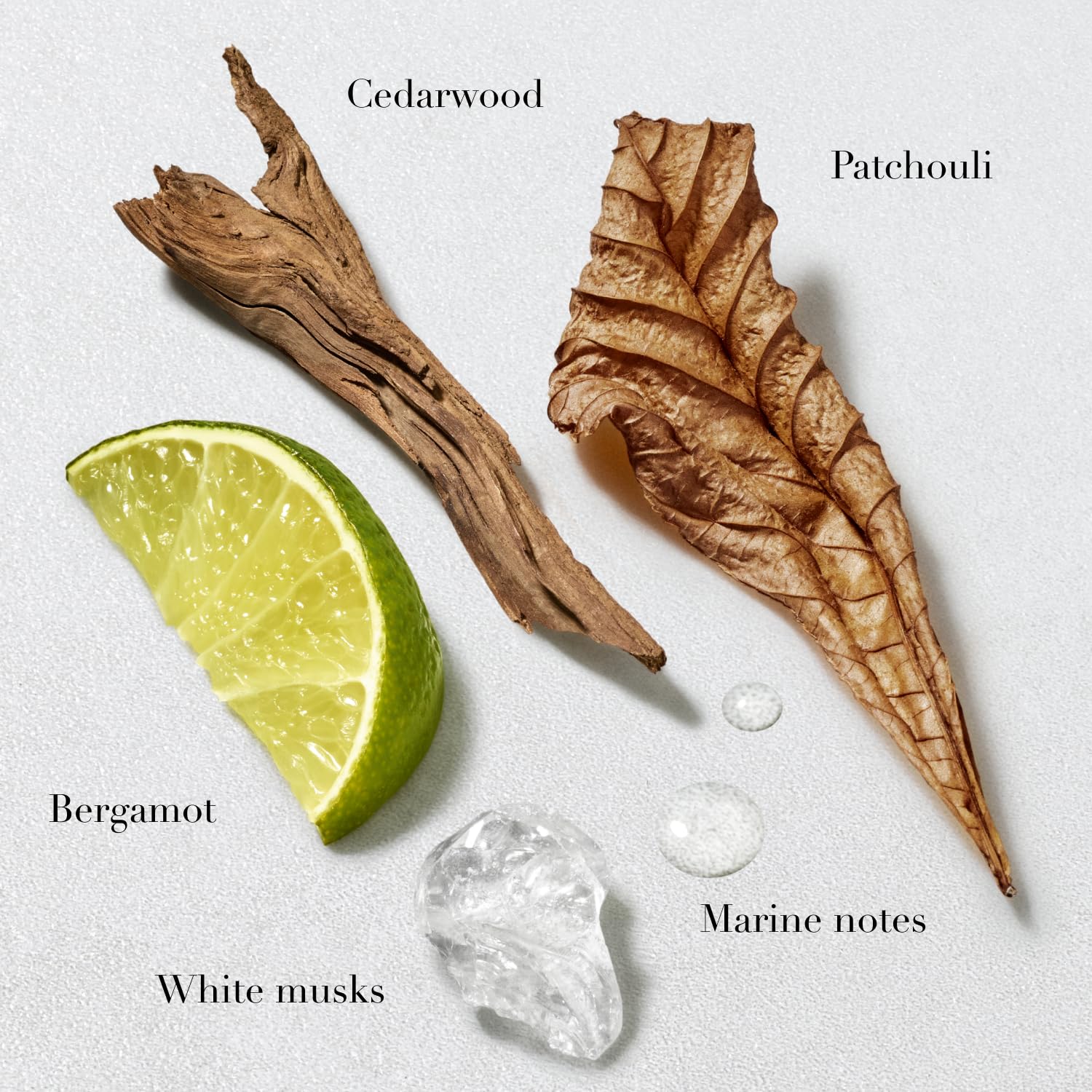 Acqua Di Giò Giorgio Armani