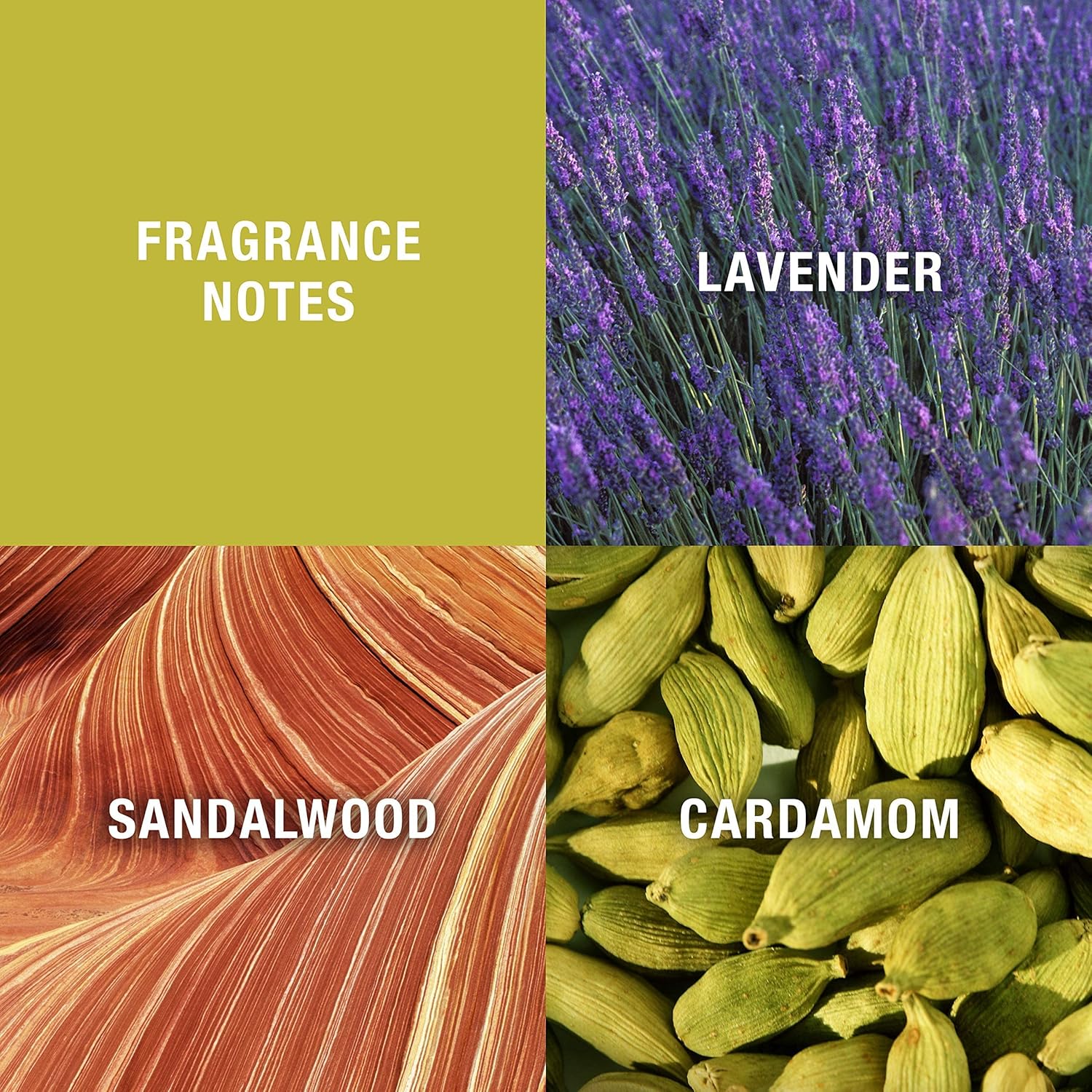 Curve Cologne Spray for Men