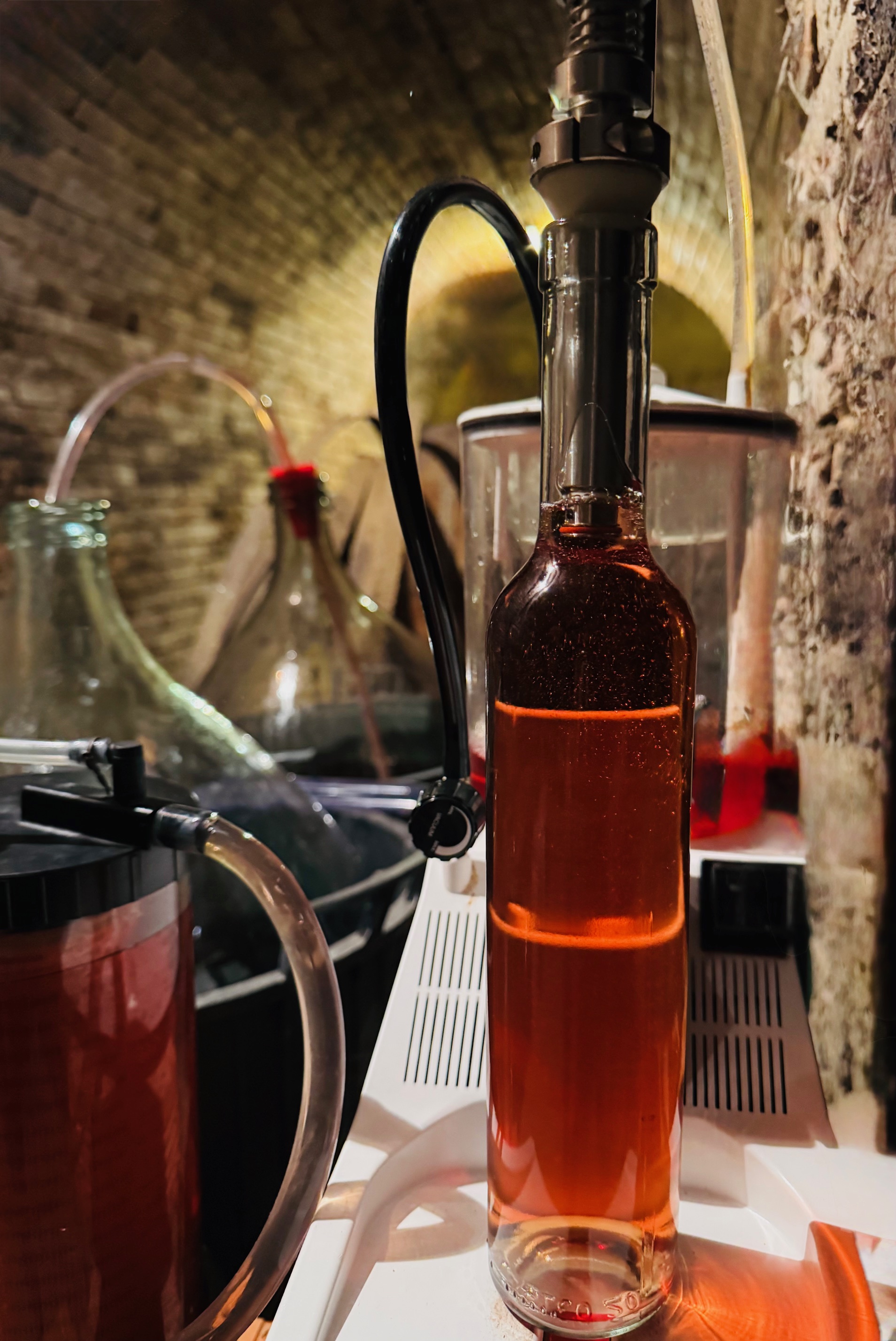 Honigwein mit Bio Aronia